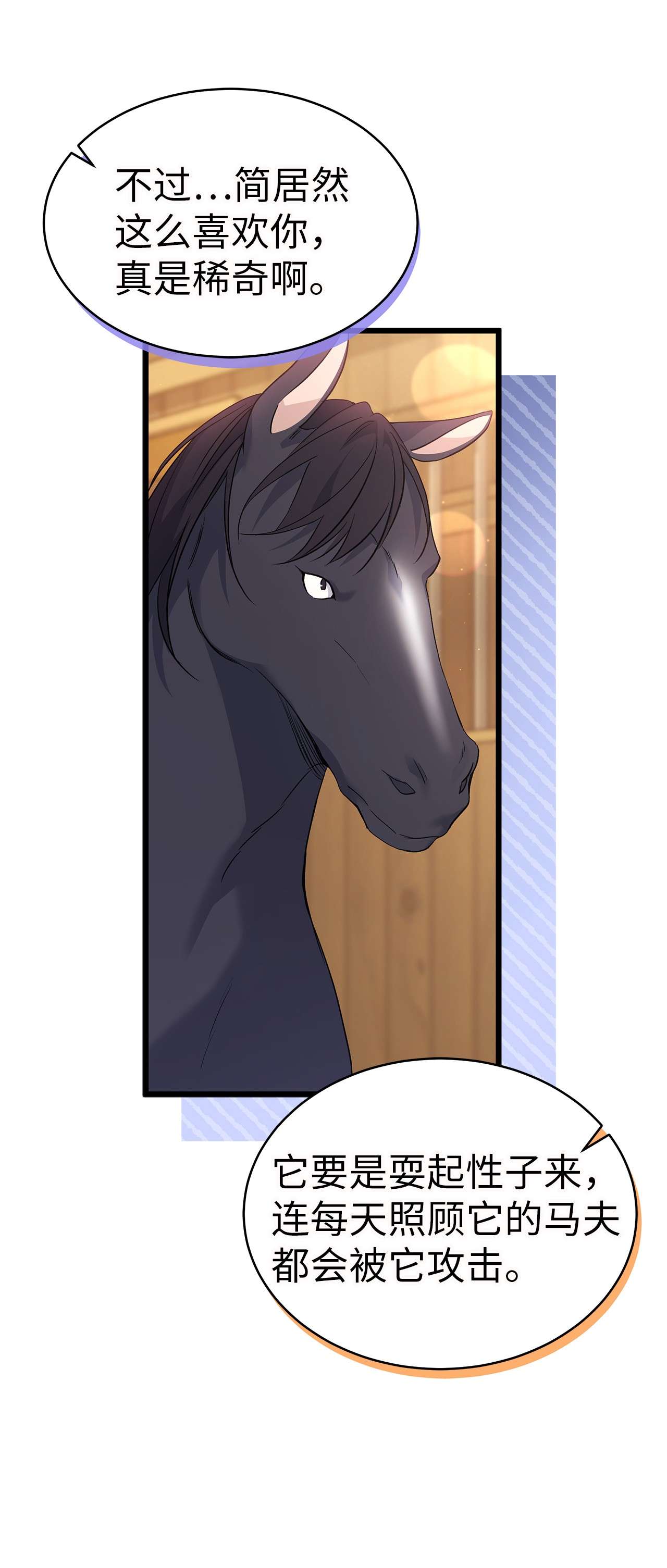 兔子与黑豹的共生关系49 宠物都像主人