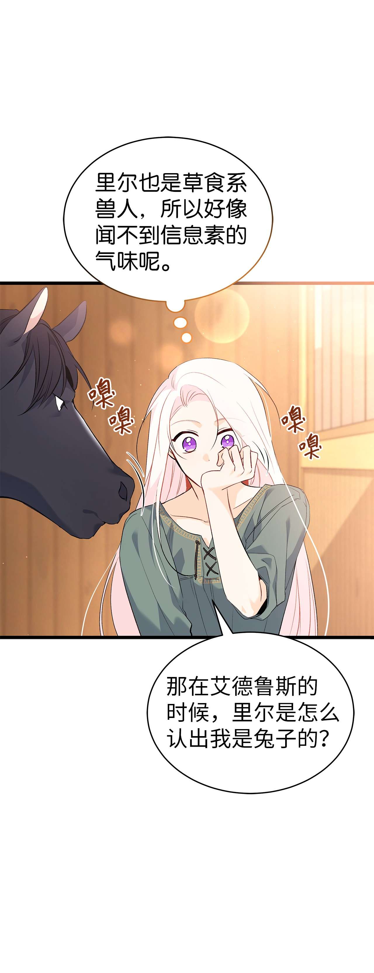 兔子与黑豹的共生关系49 宠物都像主人