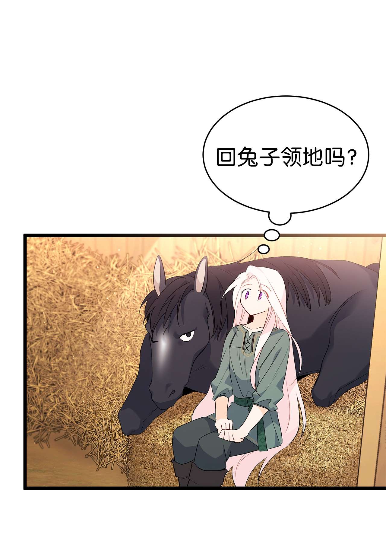 兔子与黑豹的共生关系49 宠物都像主人