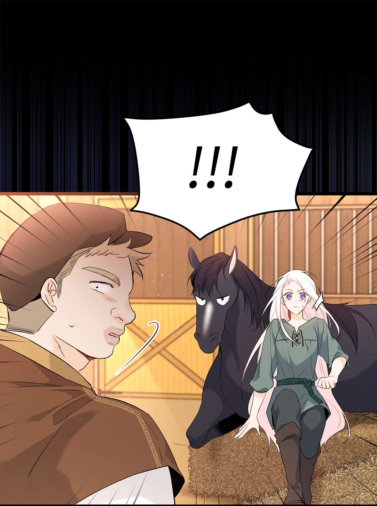 兔子与黑豹的共生关系49 宠物都像主人