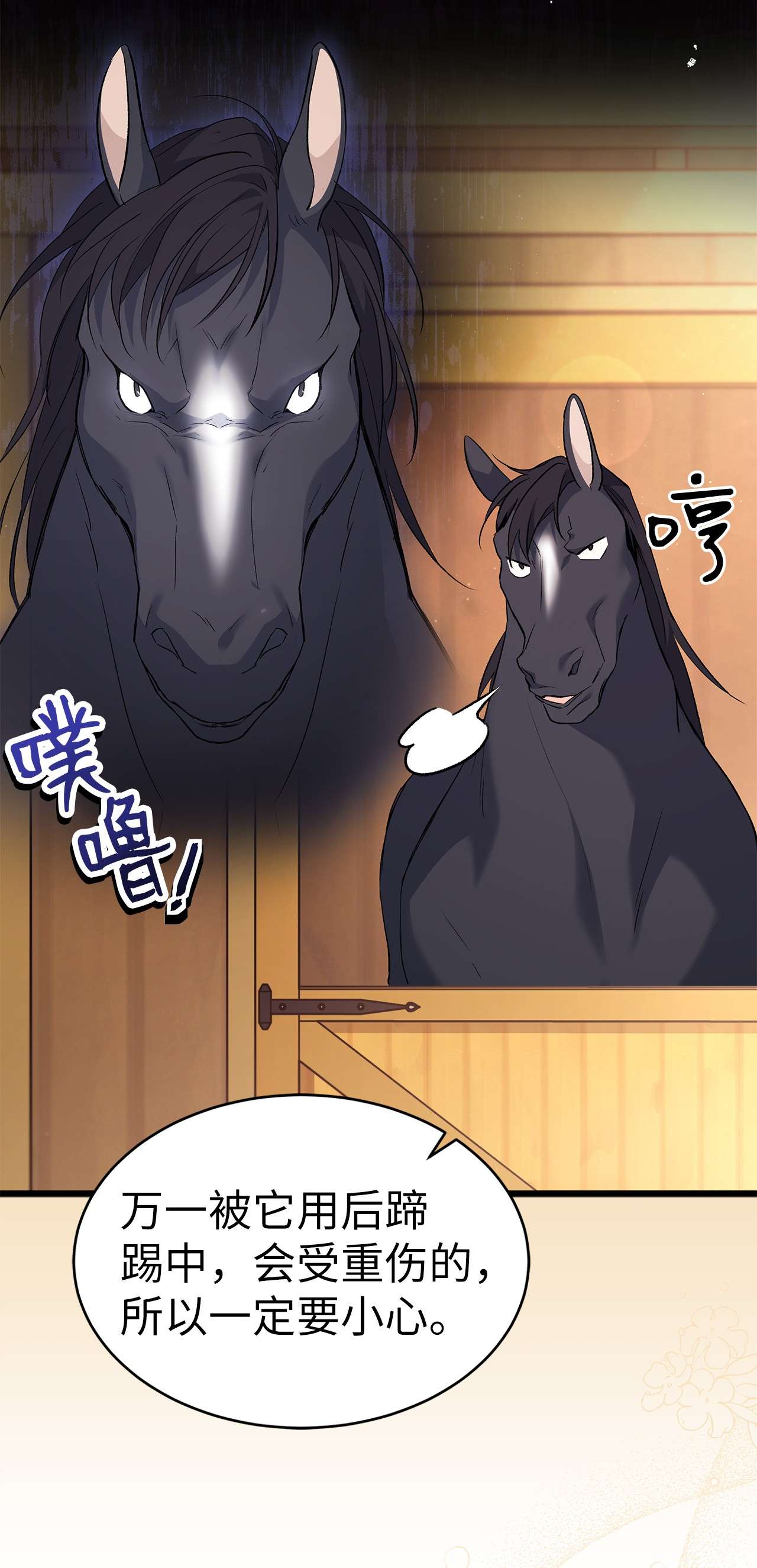 兔子与黑豹的共生关系49 宠物都像主人