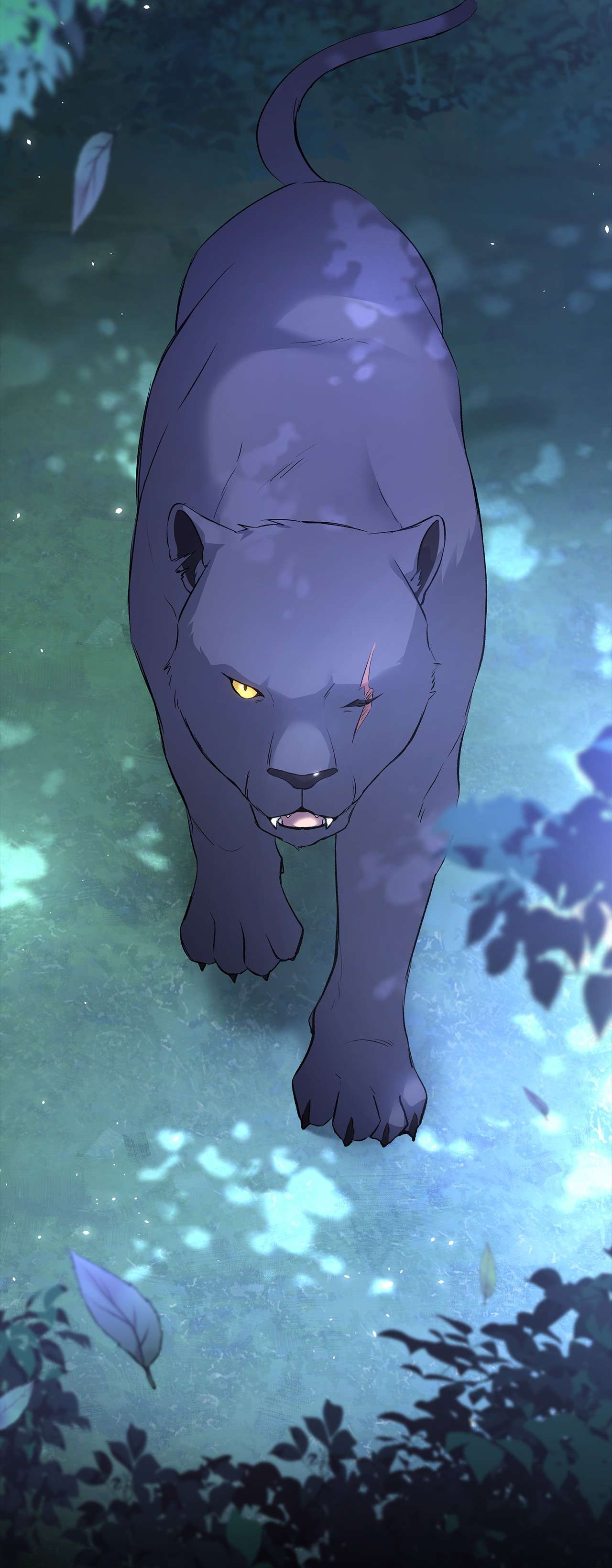 兔子与黑豹的共生关系50 我没哭！