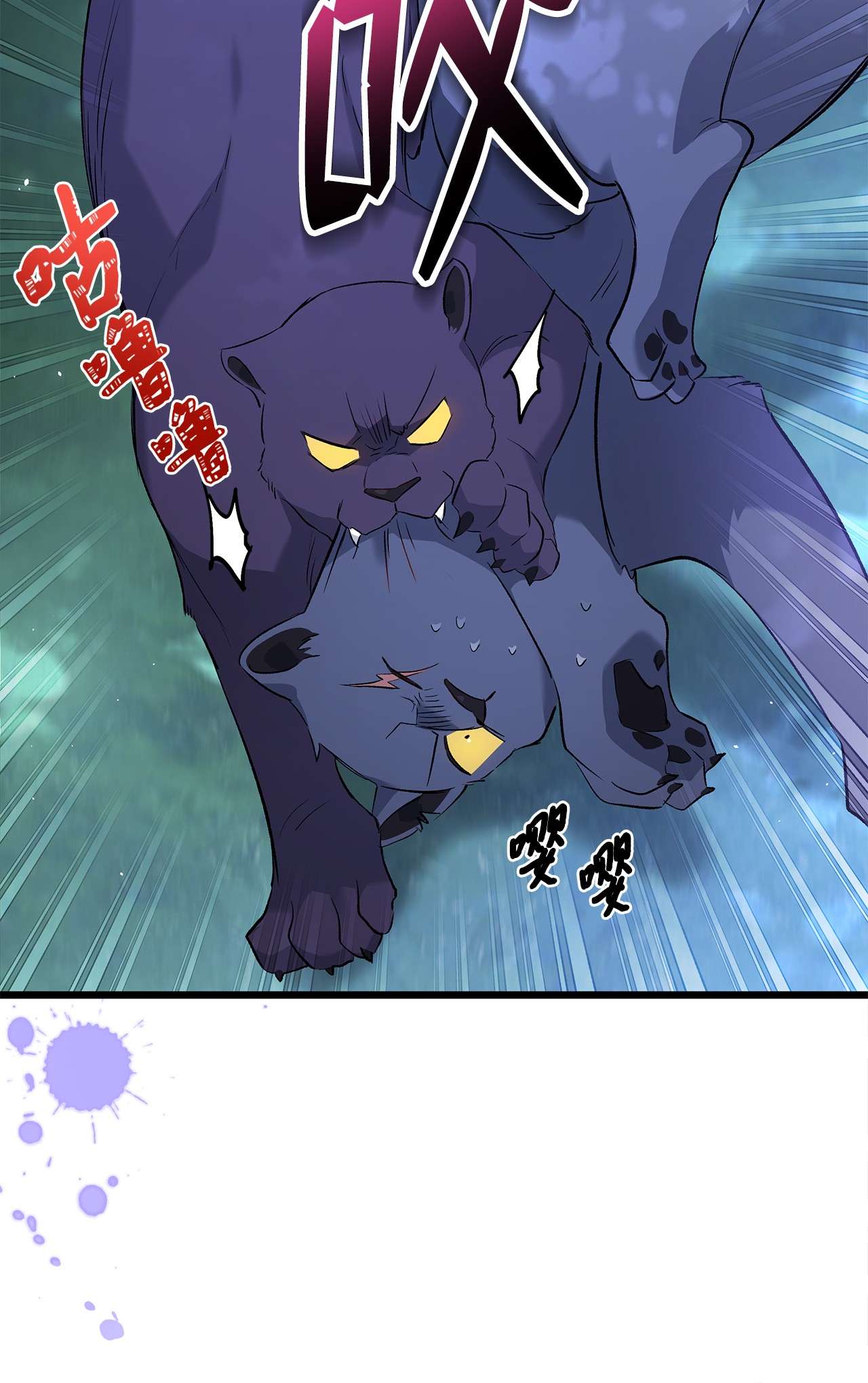 兔子与黑豹的共生关系50 我没哭！