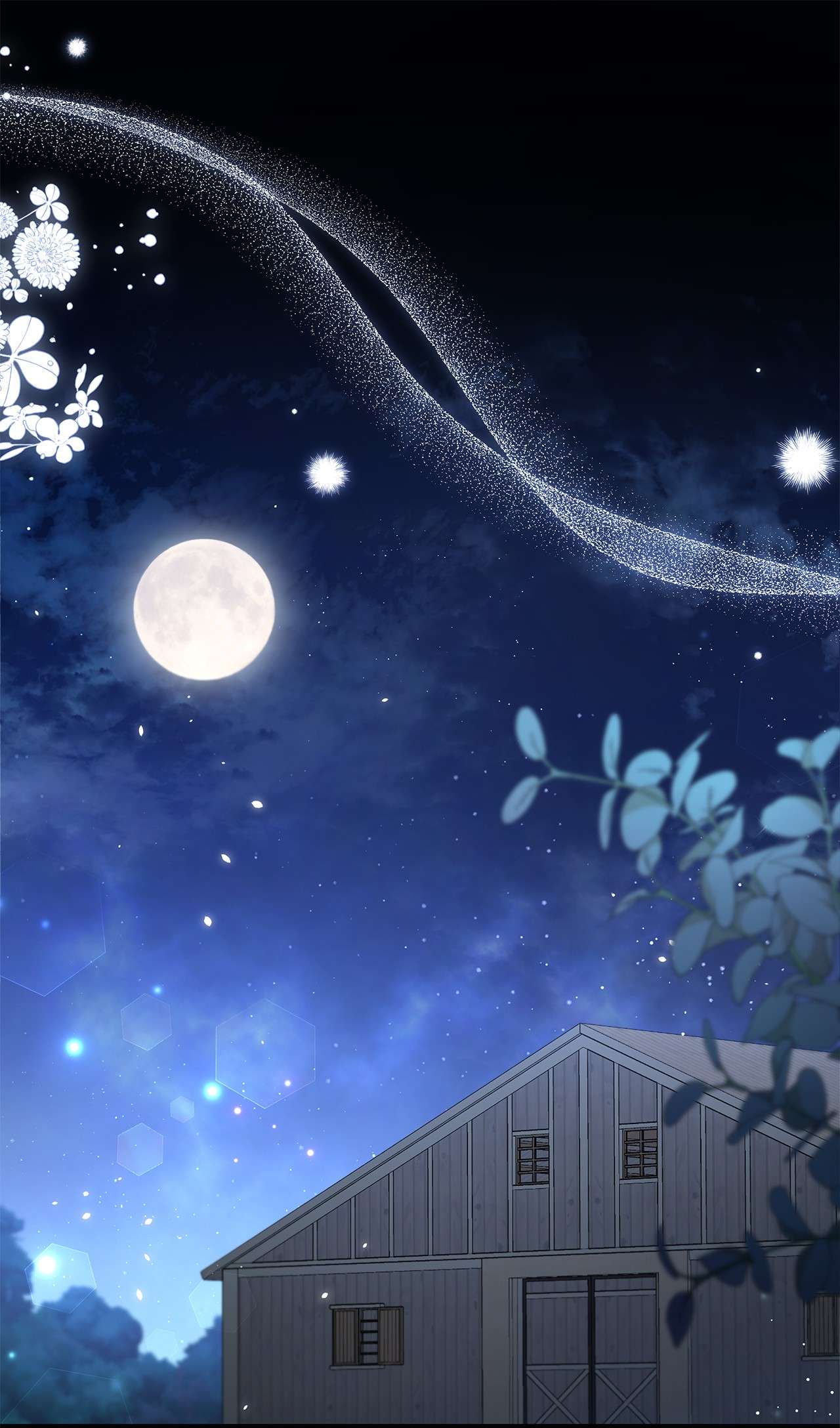 兔子与黑豹的共生关系51 菲菲会走吗？