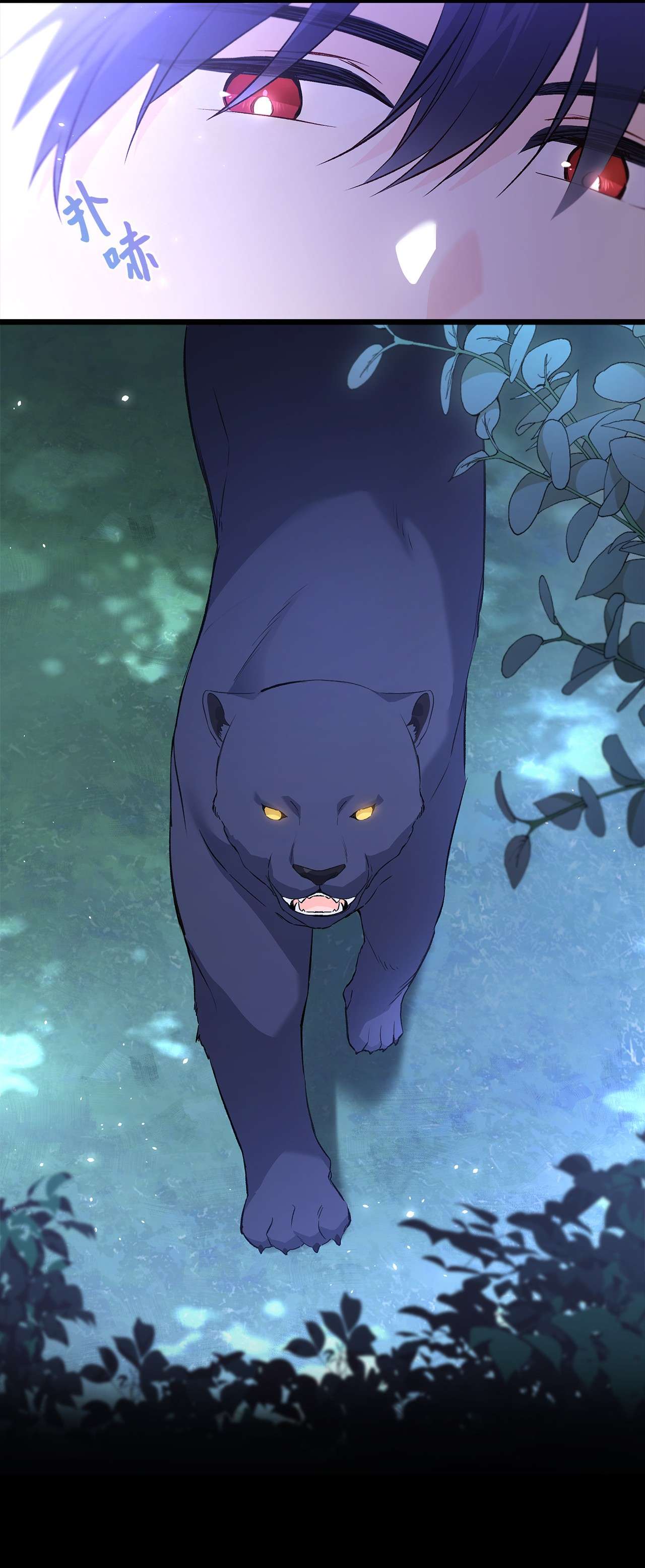 兔子与黑豹的共生关系51 菲菲会走吗？