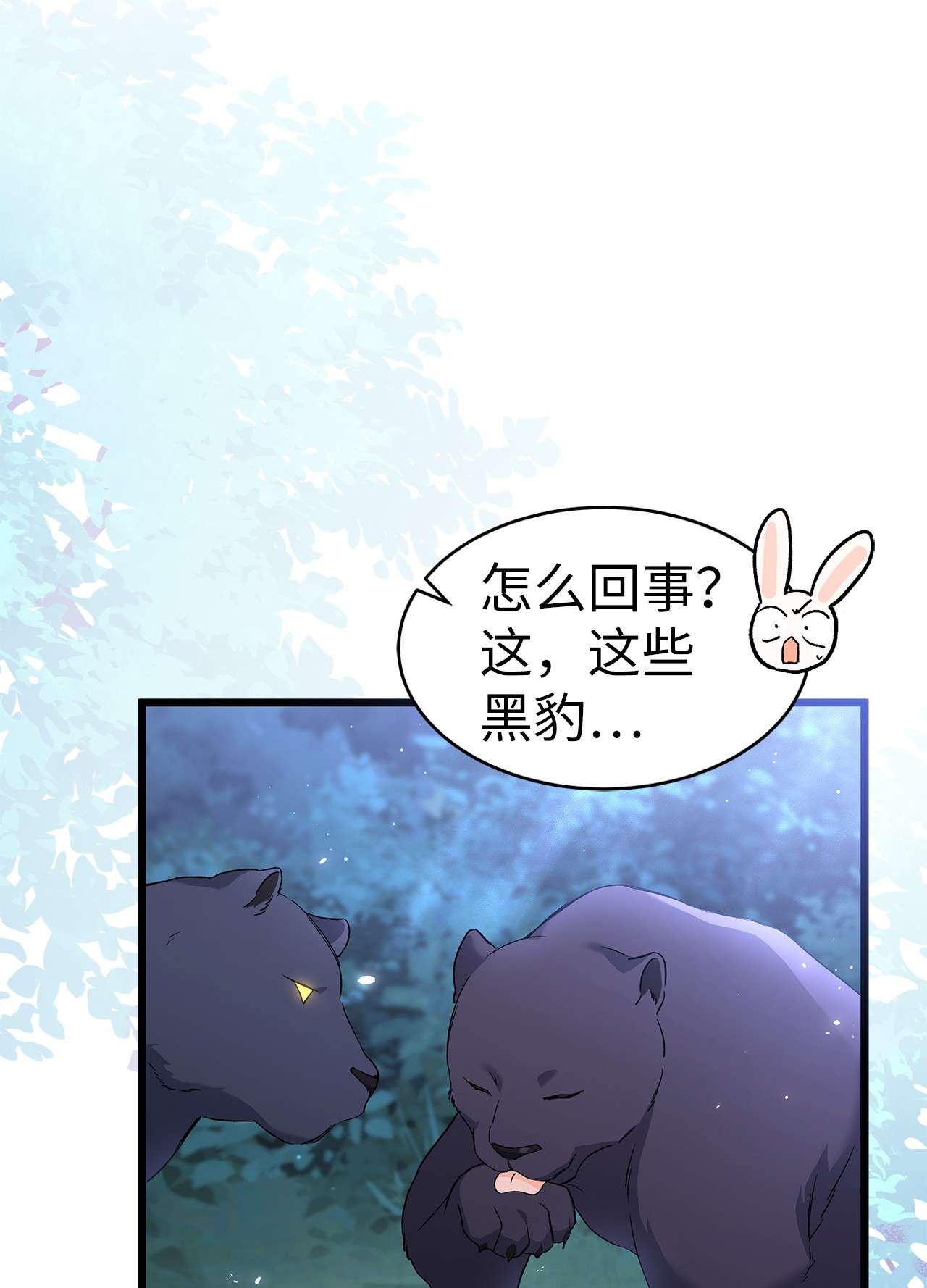 兔子与黑豹的共生关系51 菲菲会走吗？