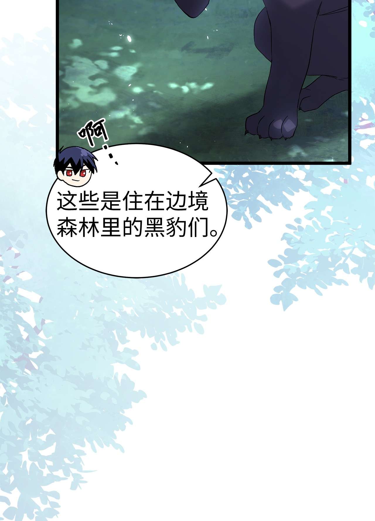 兔子与黑豹的共生关系51 菲菲会走吗？