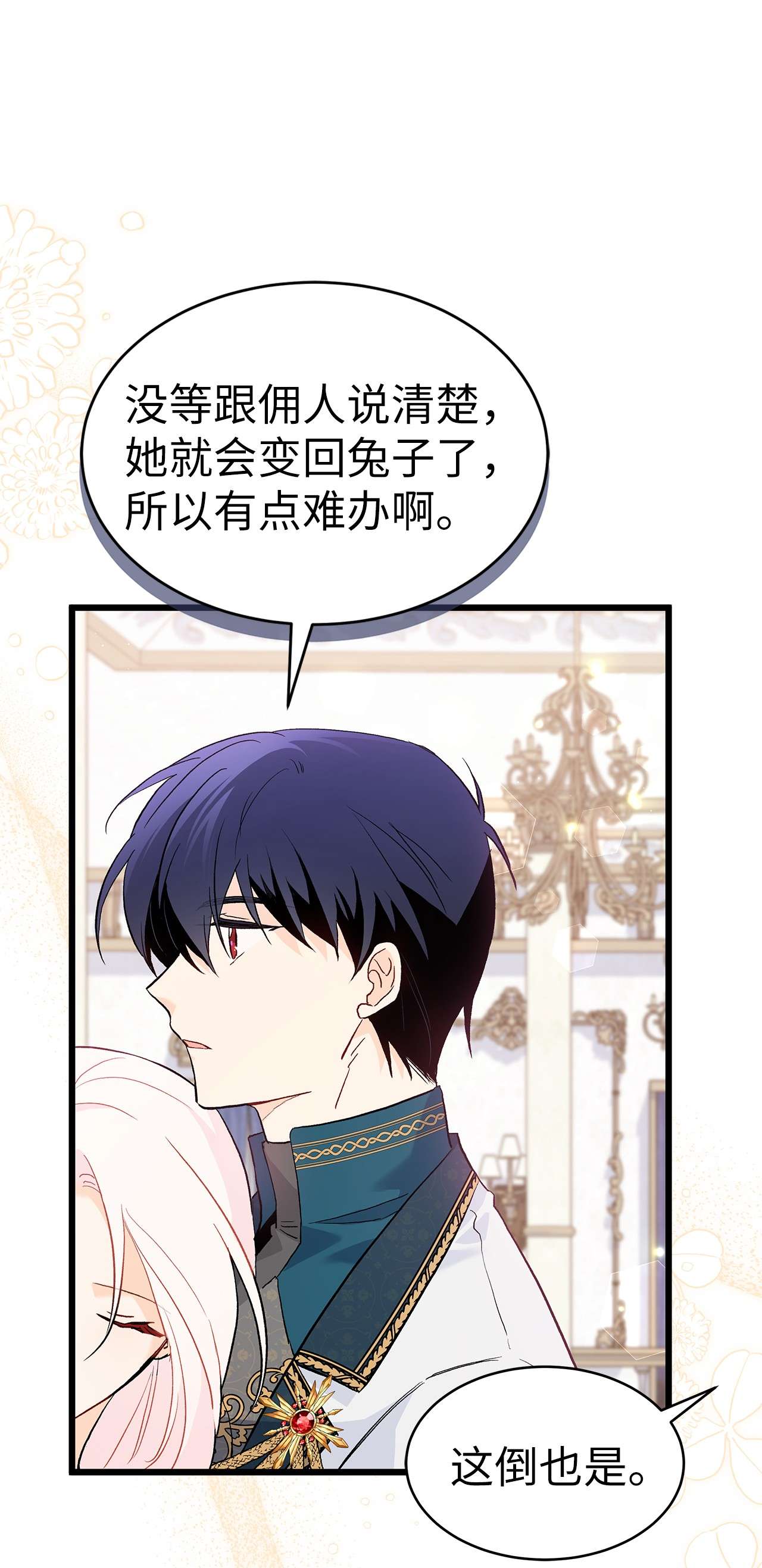 兔子与黑豹的共生关系51 菲菲会走吗？