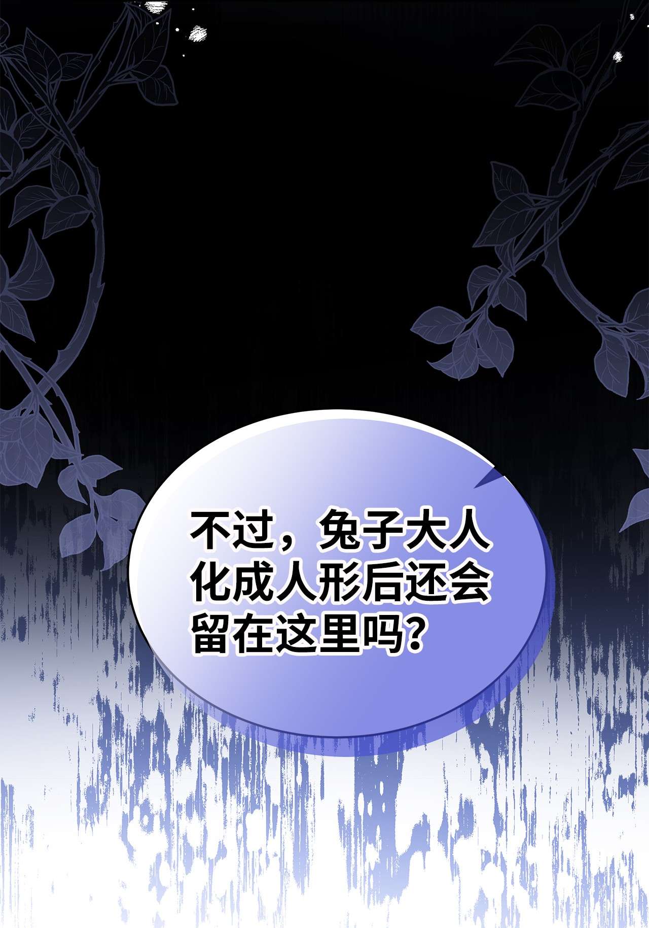 兔子与黑豹的共生关系51 菲菲会走吗？