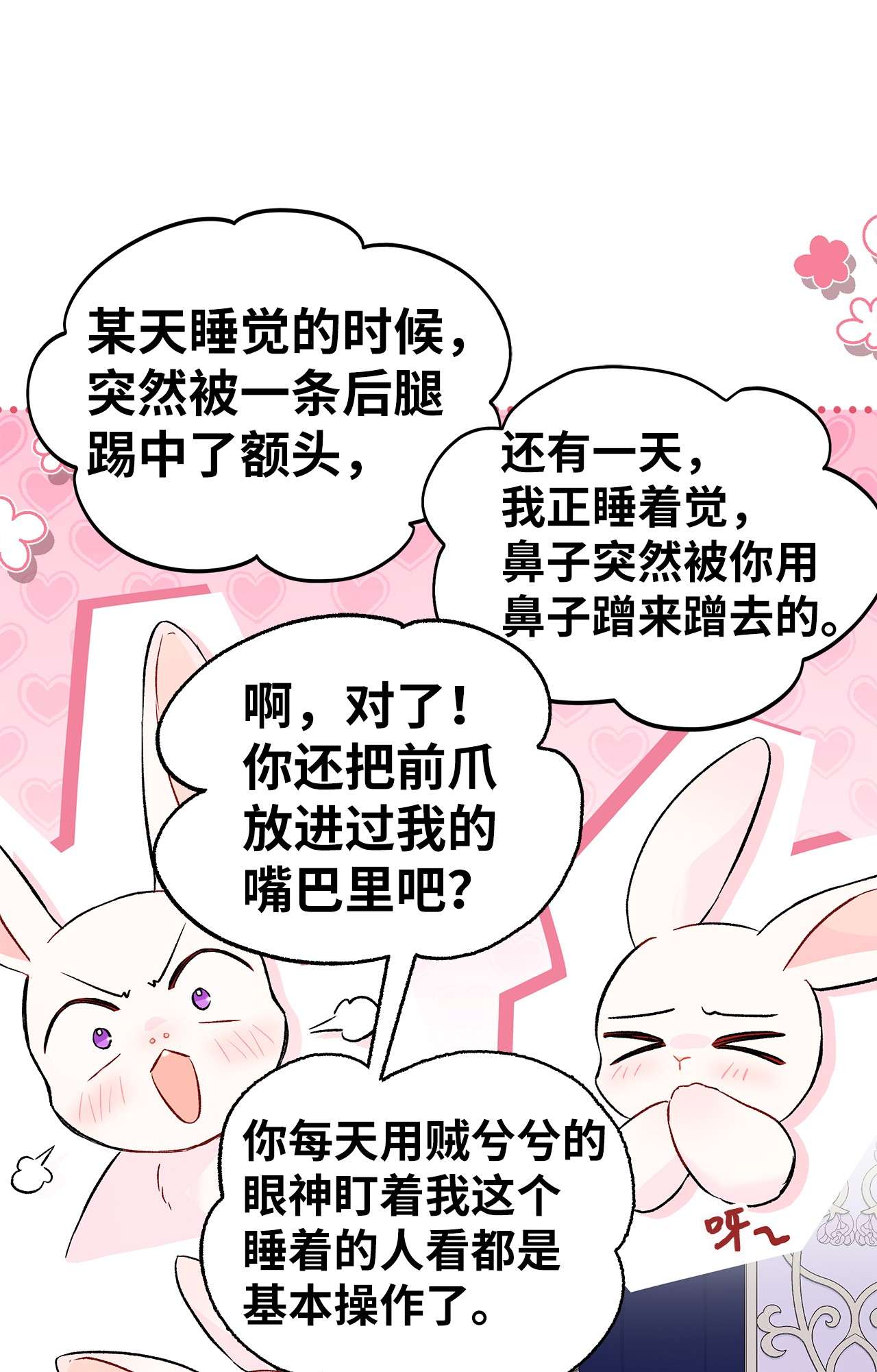 兔子与黑豹的共生关系53 本兔绝不摸你！