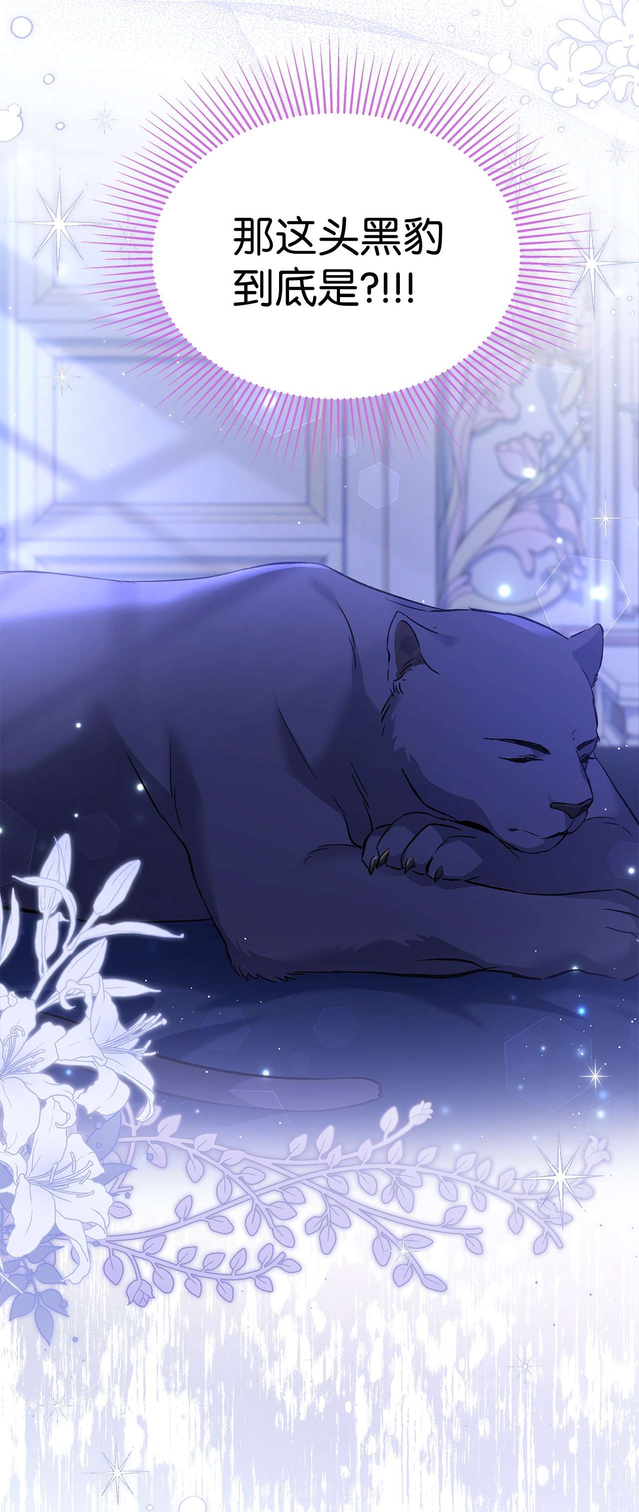 兔子与黑豹的共生关系53 本兔绝不摸你！