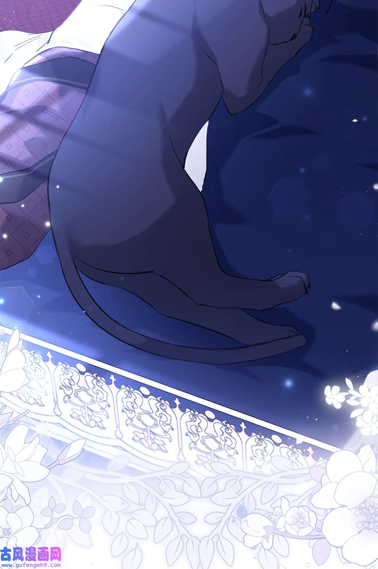 兔子与黑豹的共生关系54 相拥而眠