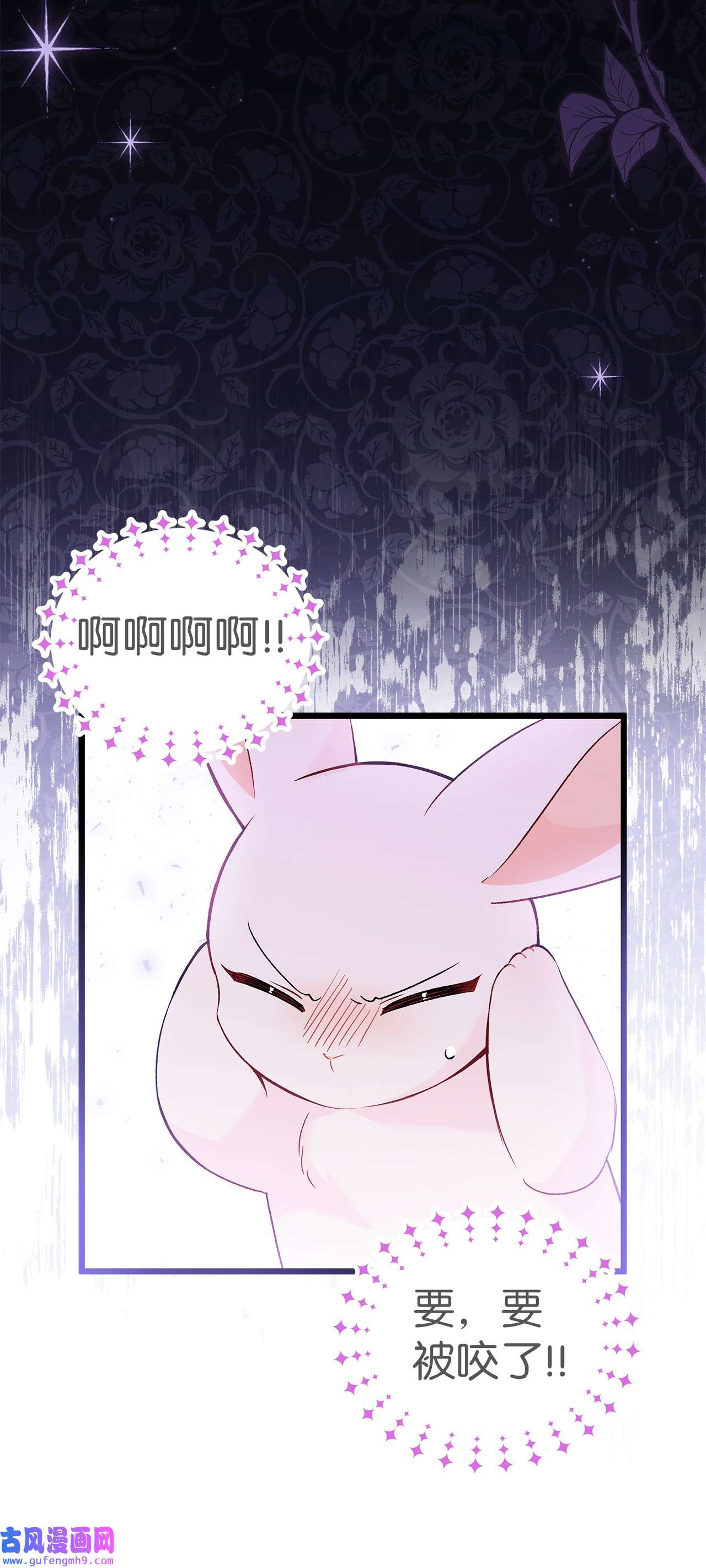 兔子与黑豹的共生关系55 兔子又劈腿