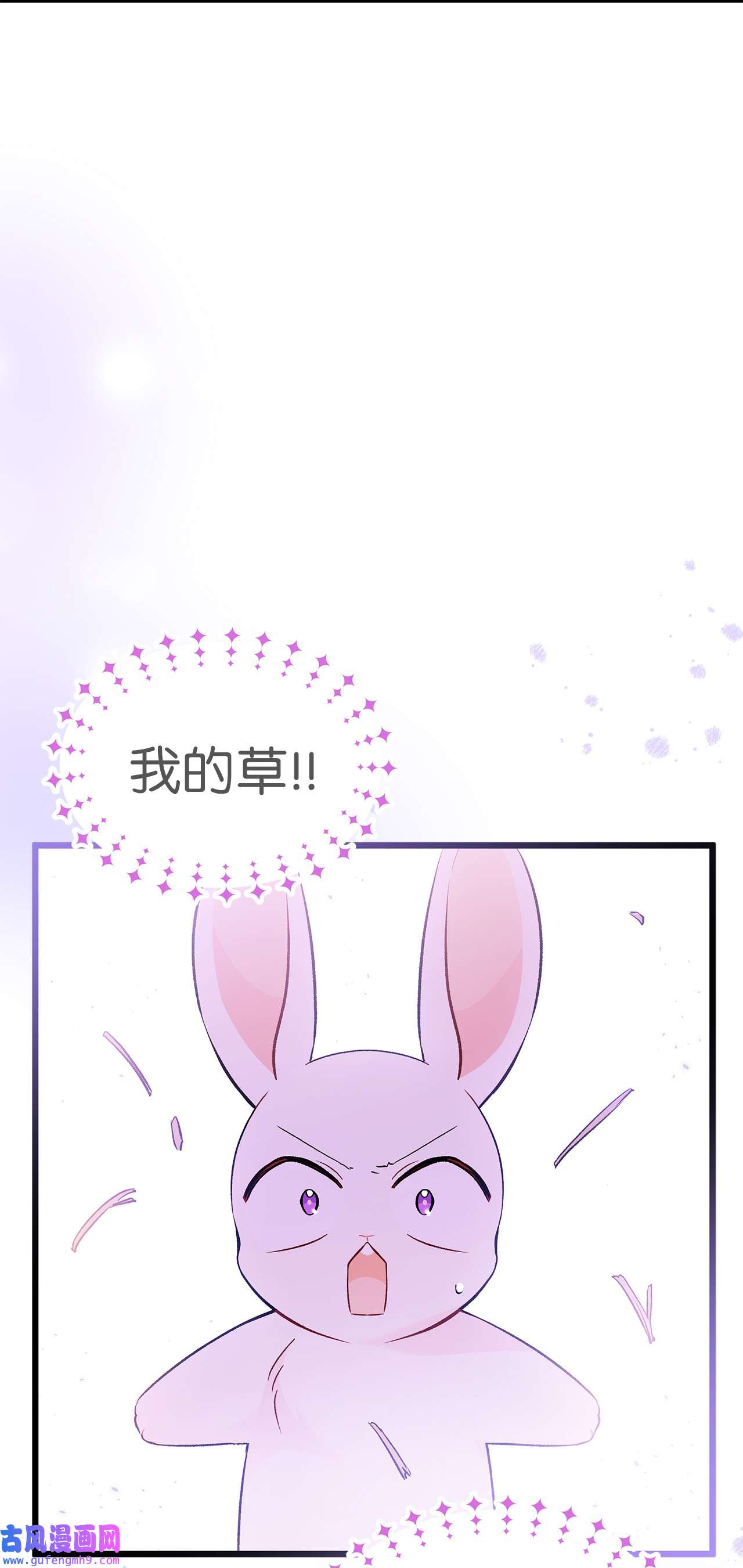 兔子与黑豹的共生关系55 兔子又劈腿