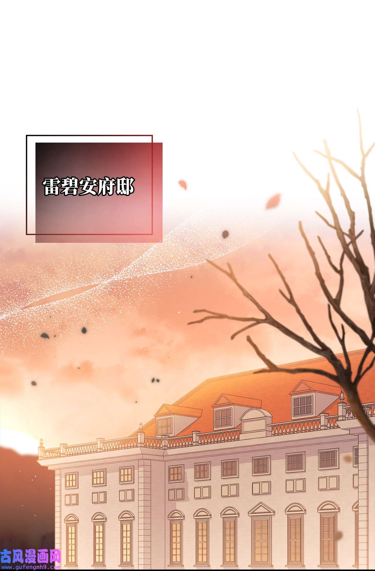 兔子与黑豹的共生关系55 兔子又劈腿