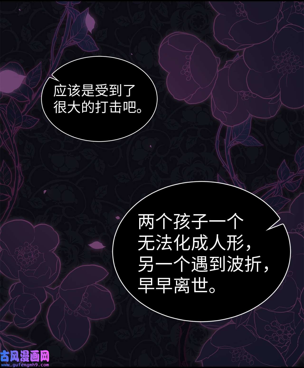 兔子与黑豹的共生关系55 兔子又劈腿