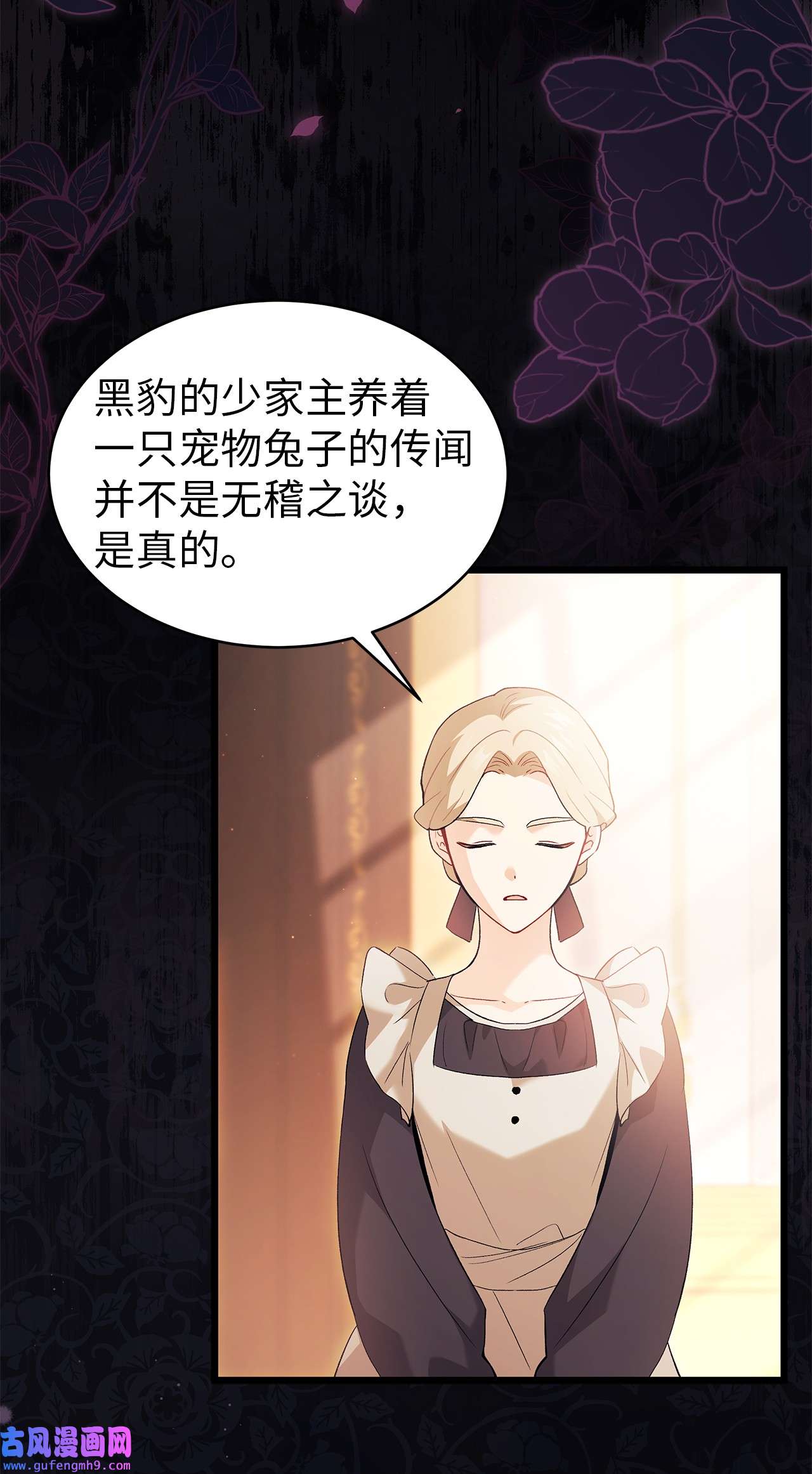 兔子与黑豹的共生关系55 兔子又劈腿