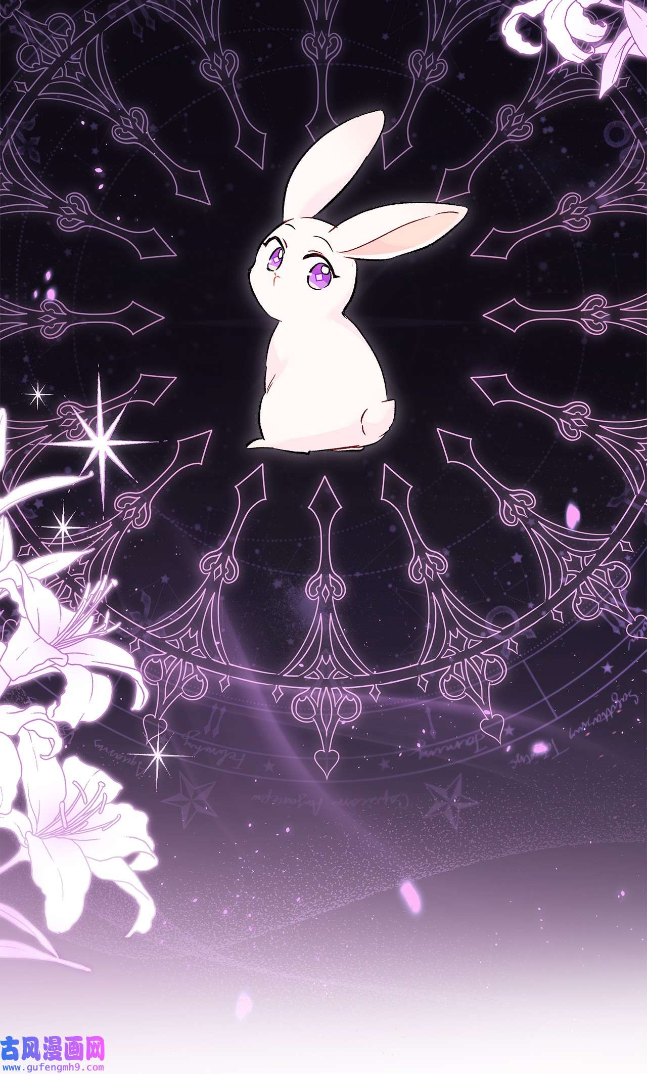 兔子与黑豹的共生关系55 兔子又劈腿