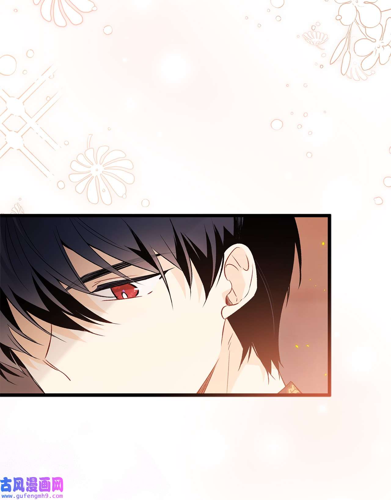 兔子与黑豹的共生关系57 药物抗性