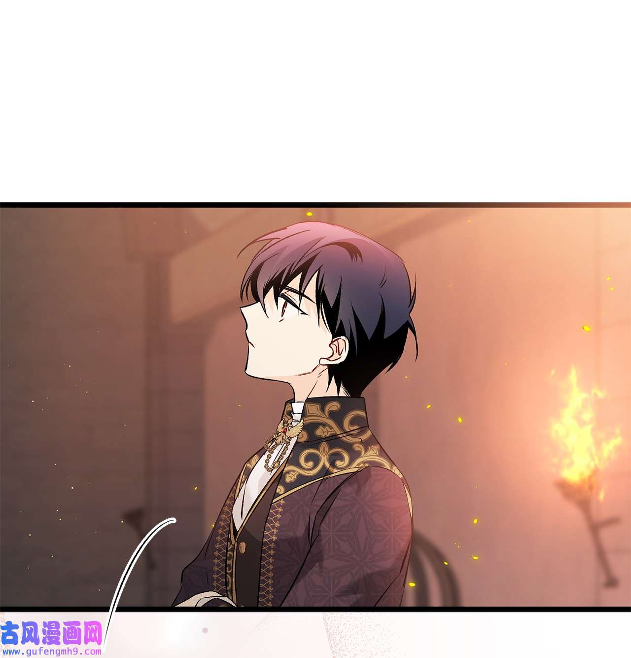 兔子与黑豹的共生关系57 药物抗性