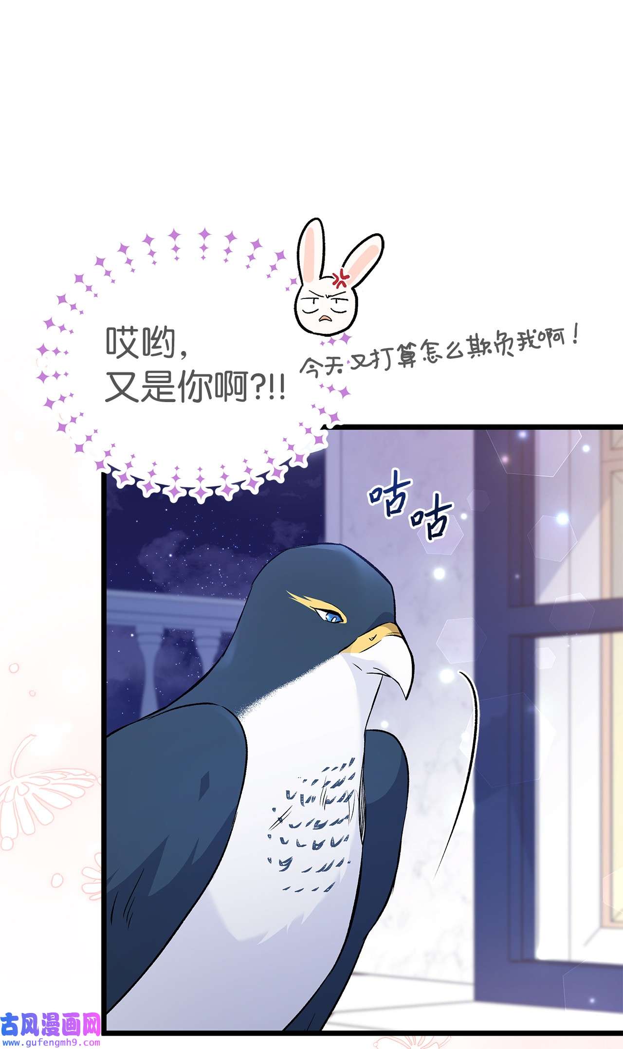 兔子与黑豹的共生关系57 药物抗性