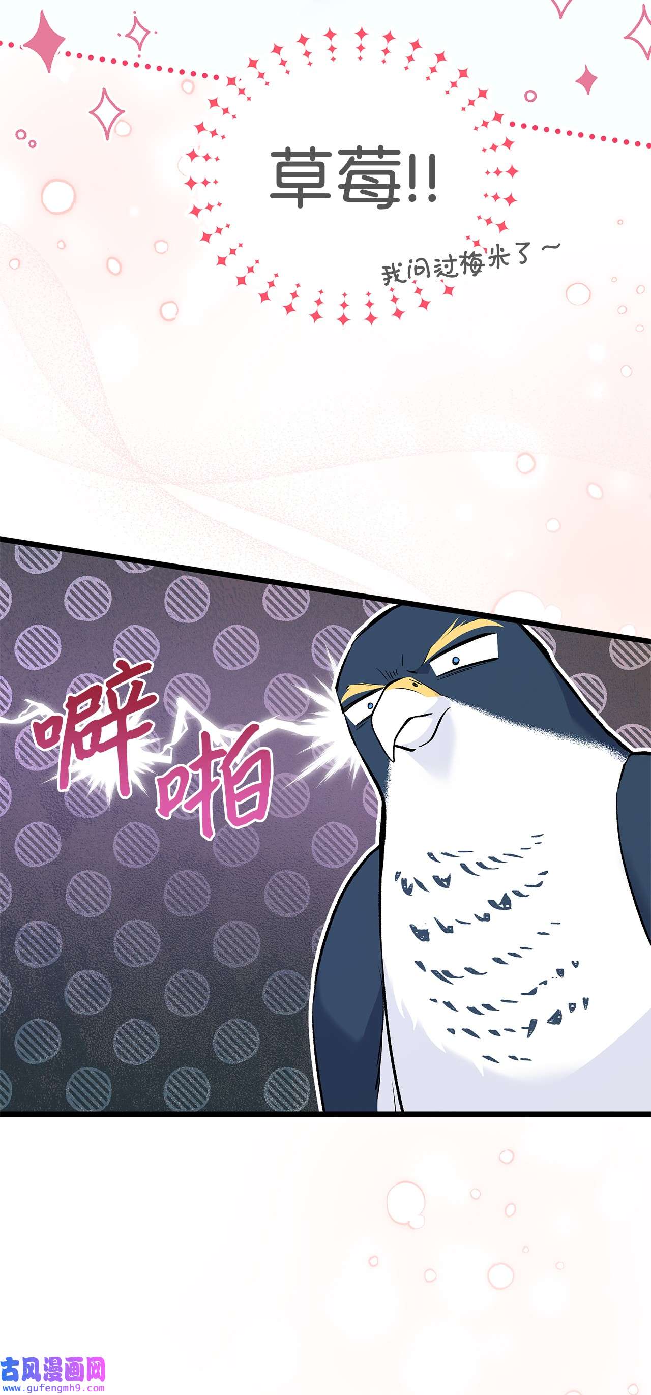 兔子与黑豹的共生关系57 药物抗性