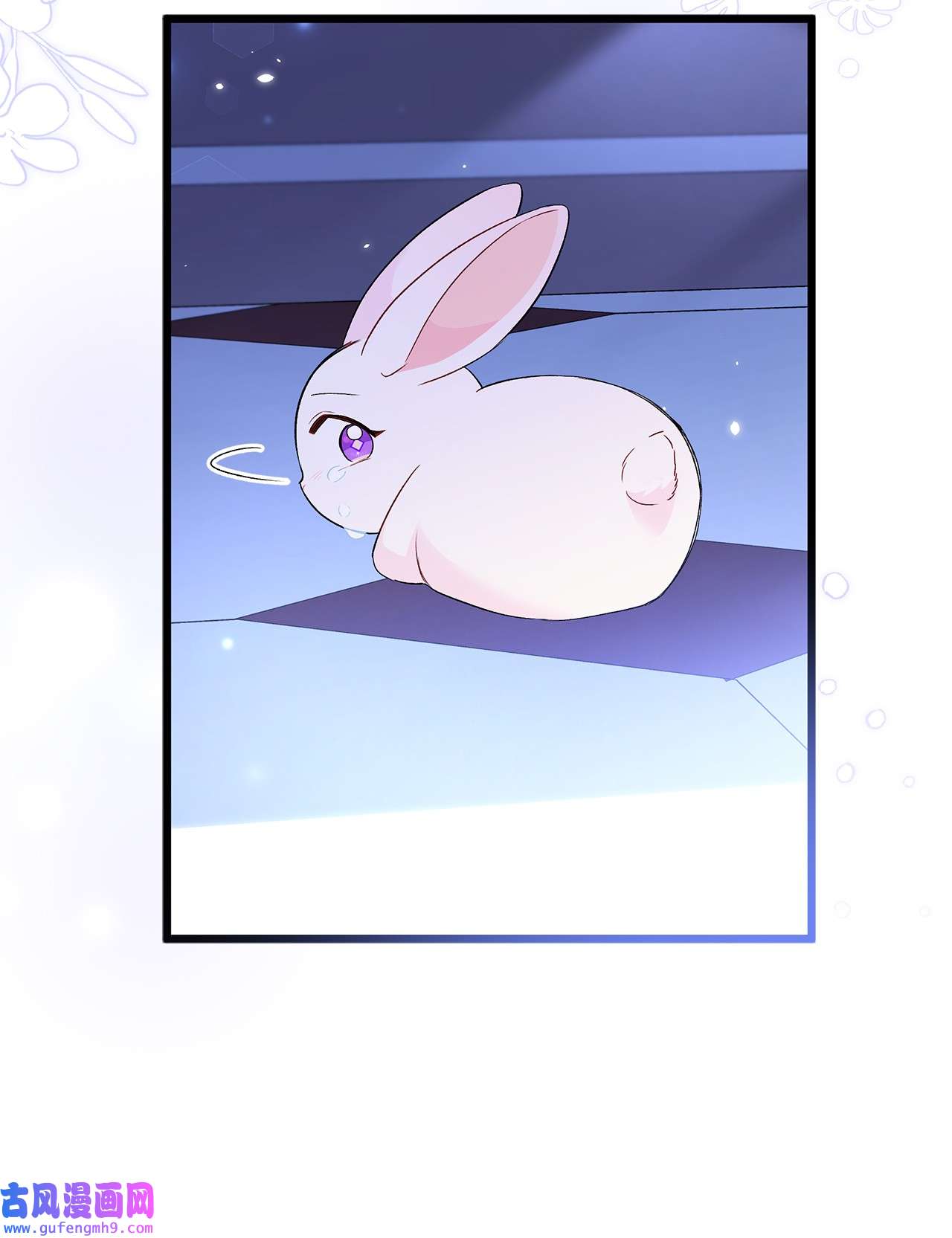 兔子与黑豹的共生关系58 可以期待吗？