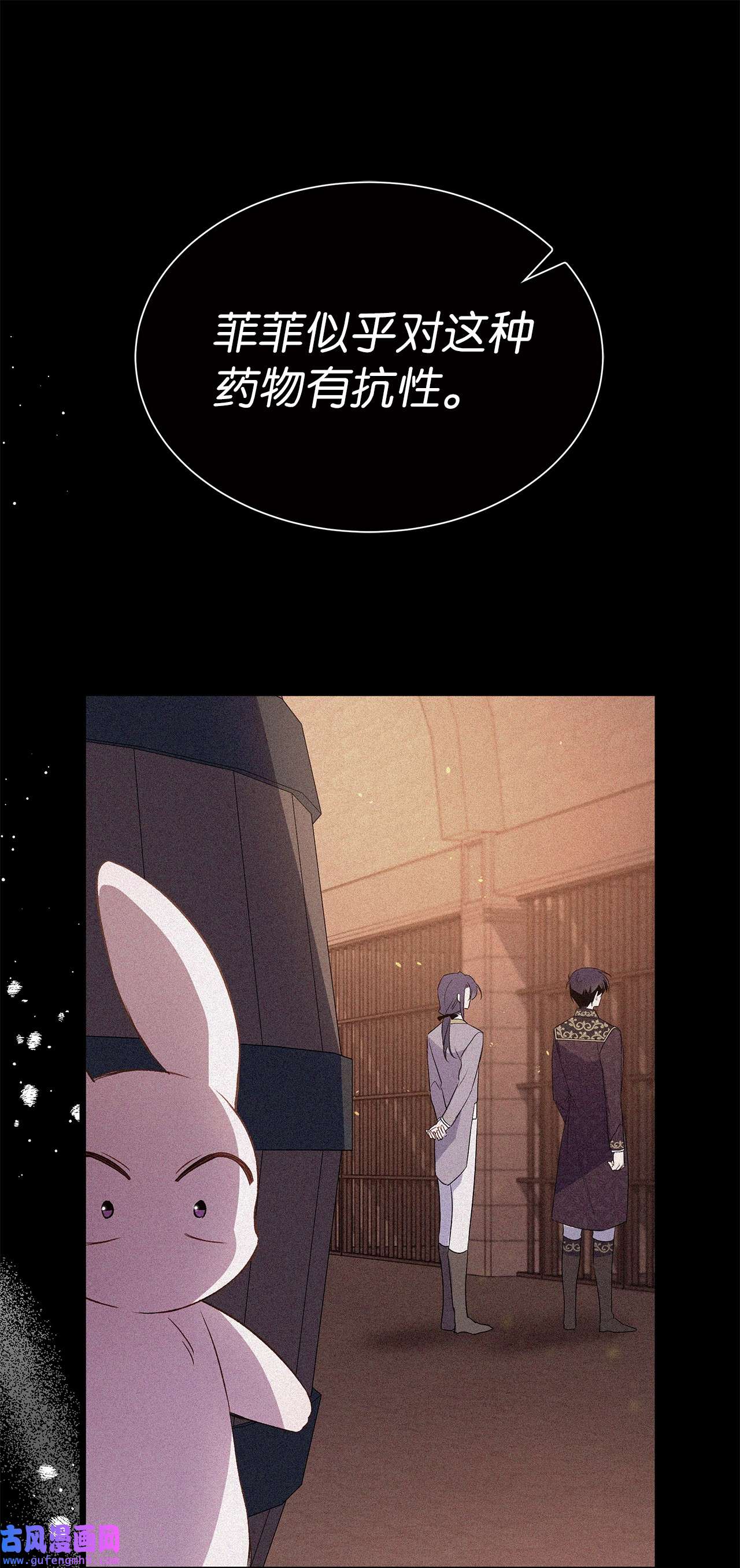 兔子与黑豹的共生关系58 可以期待吗？