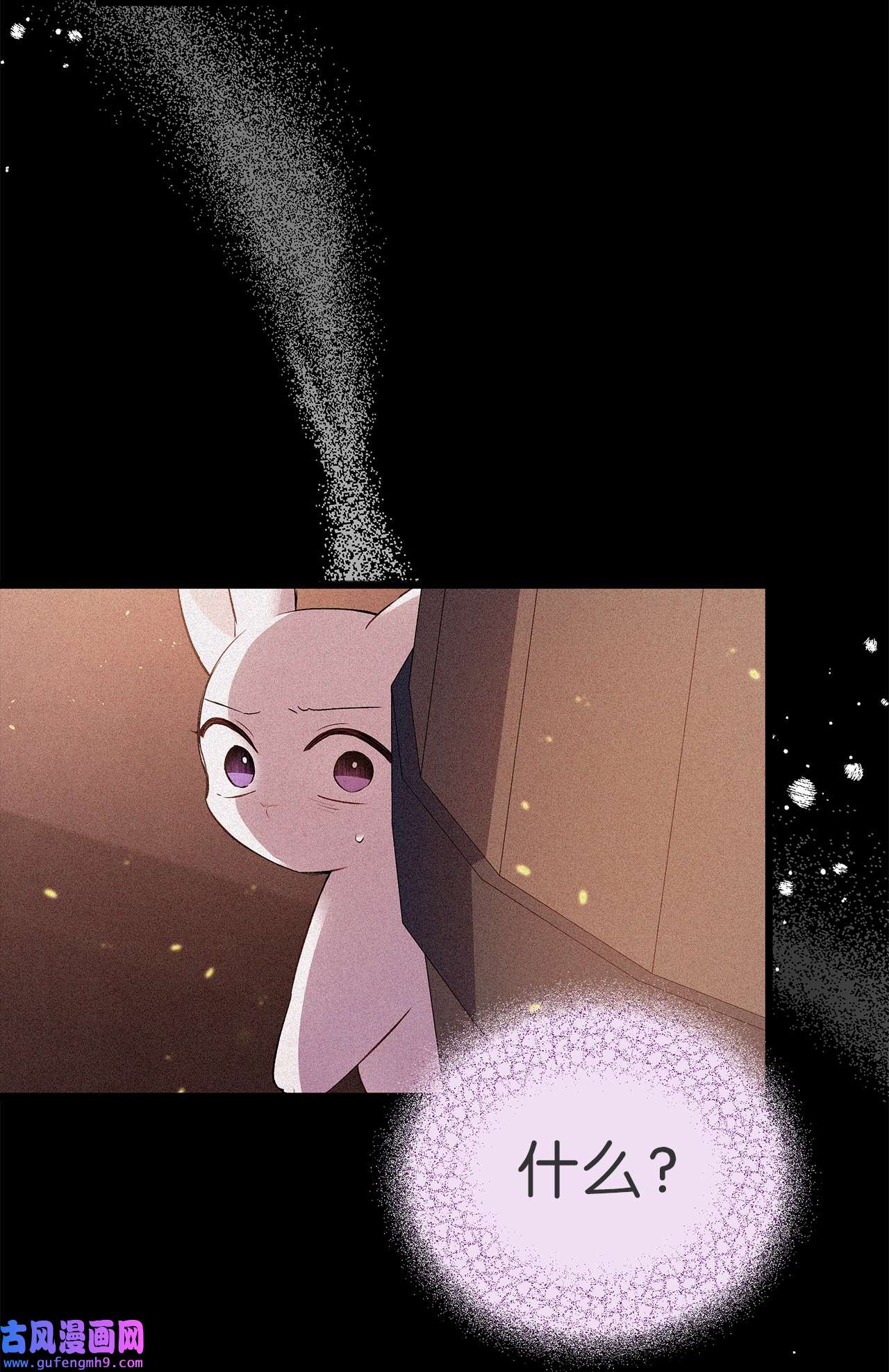 兔子与黑豹的共生关系58 可以期待吗？