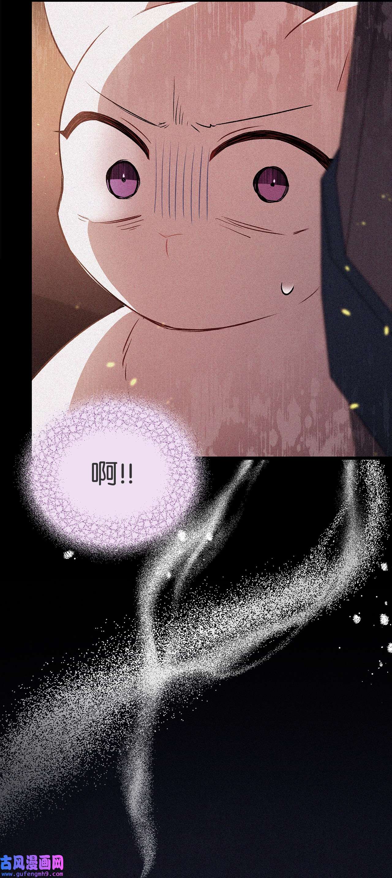 兔子与黑豹的共生关系58 可以期待吗？