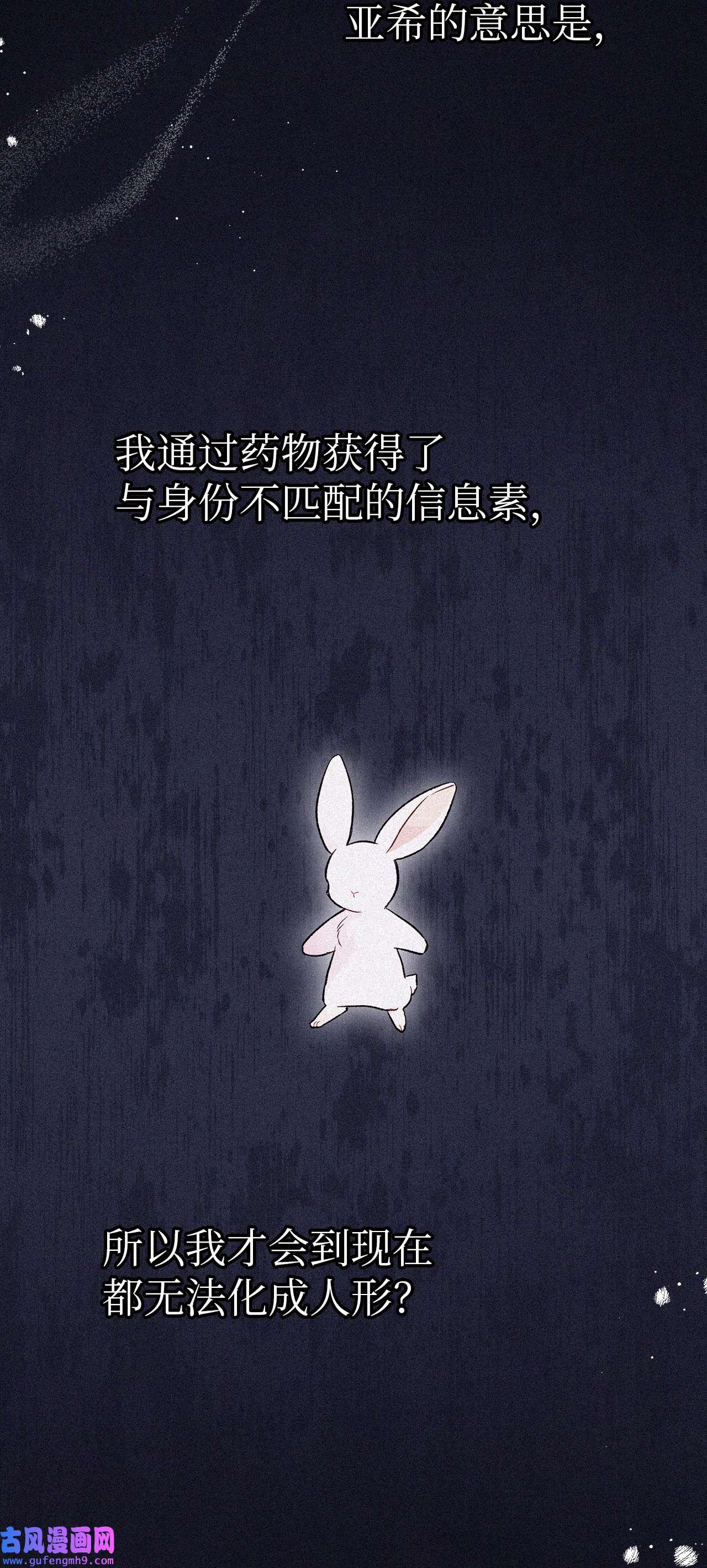 兔子与黑豹的共生关系58 可以期待吗？