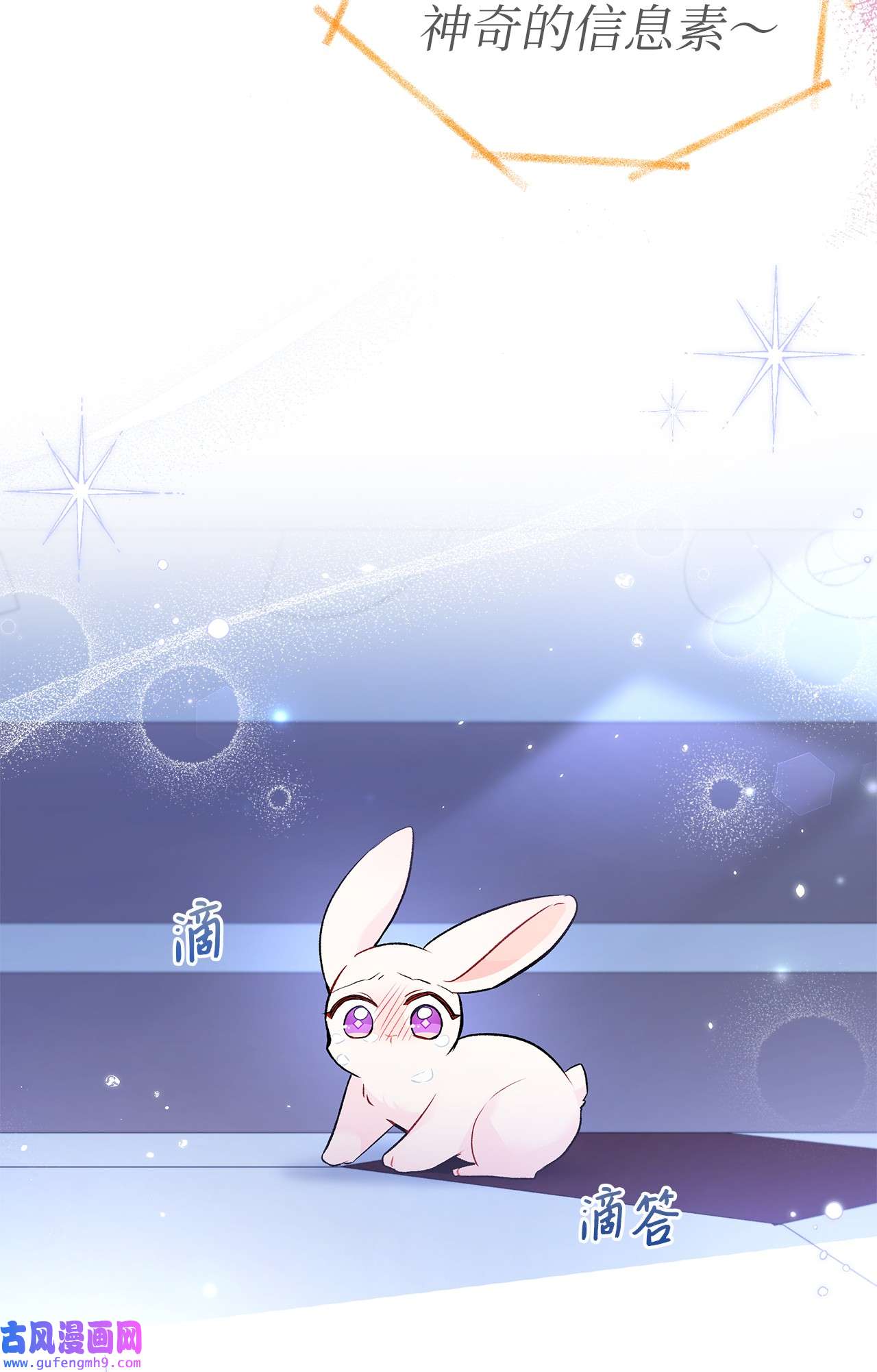 兔子与黑豹的共生关系58 可以期待吗？