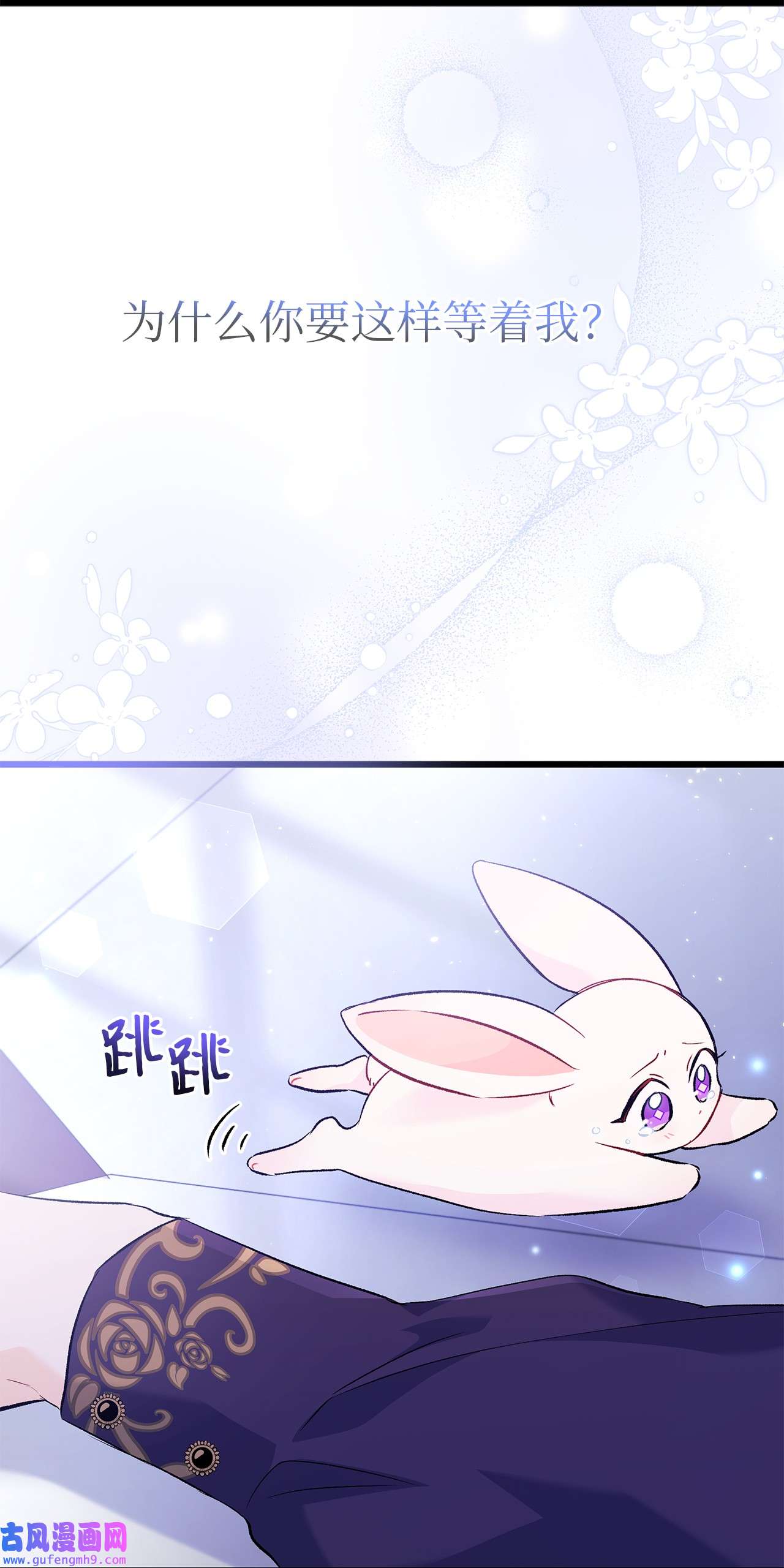 兔子与黑豹的共生关系58 可以期待吗？