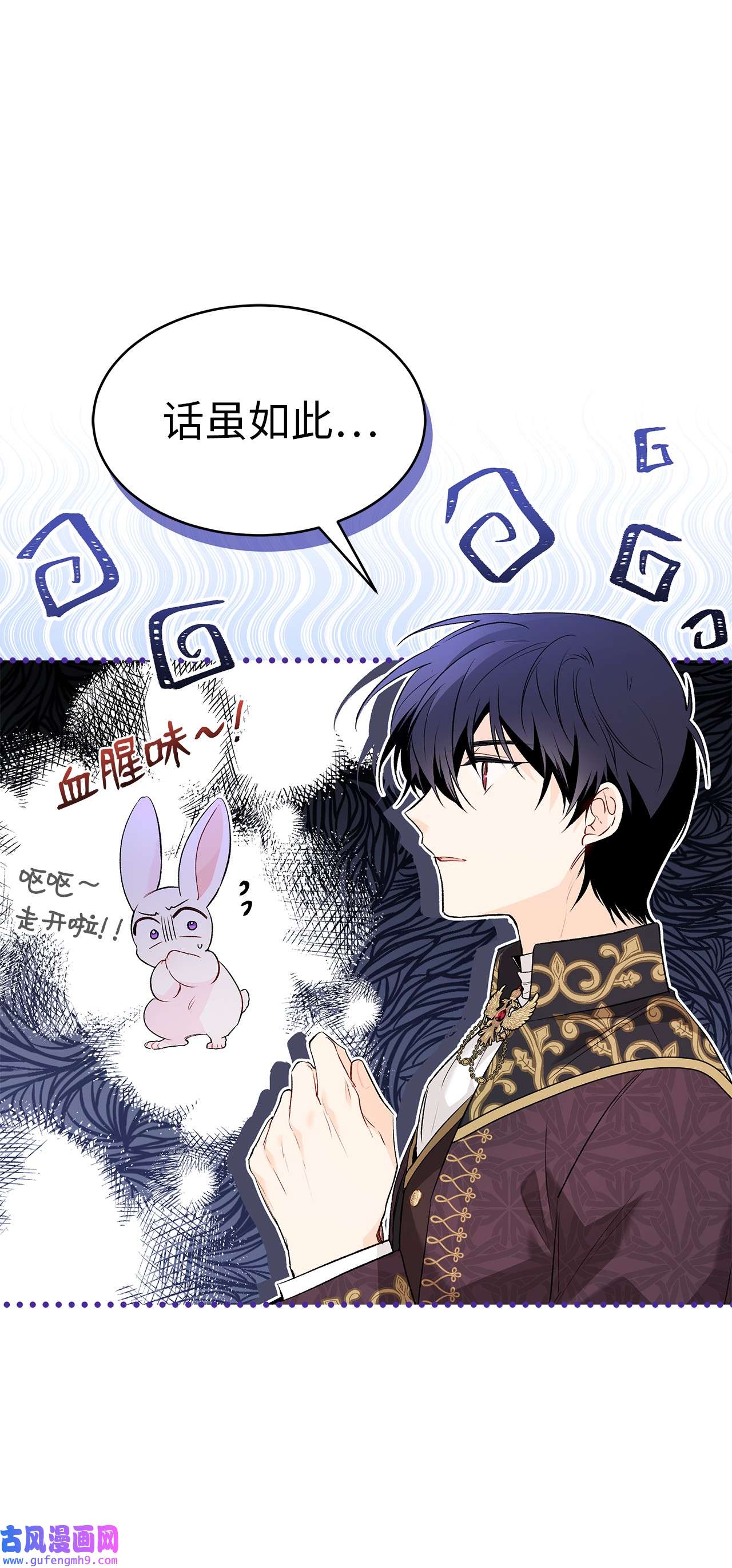 兔子与黑豹的共生关系58 可以期待吗？