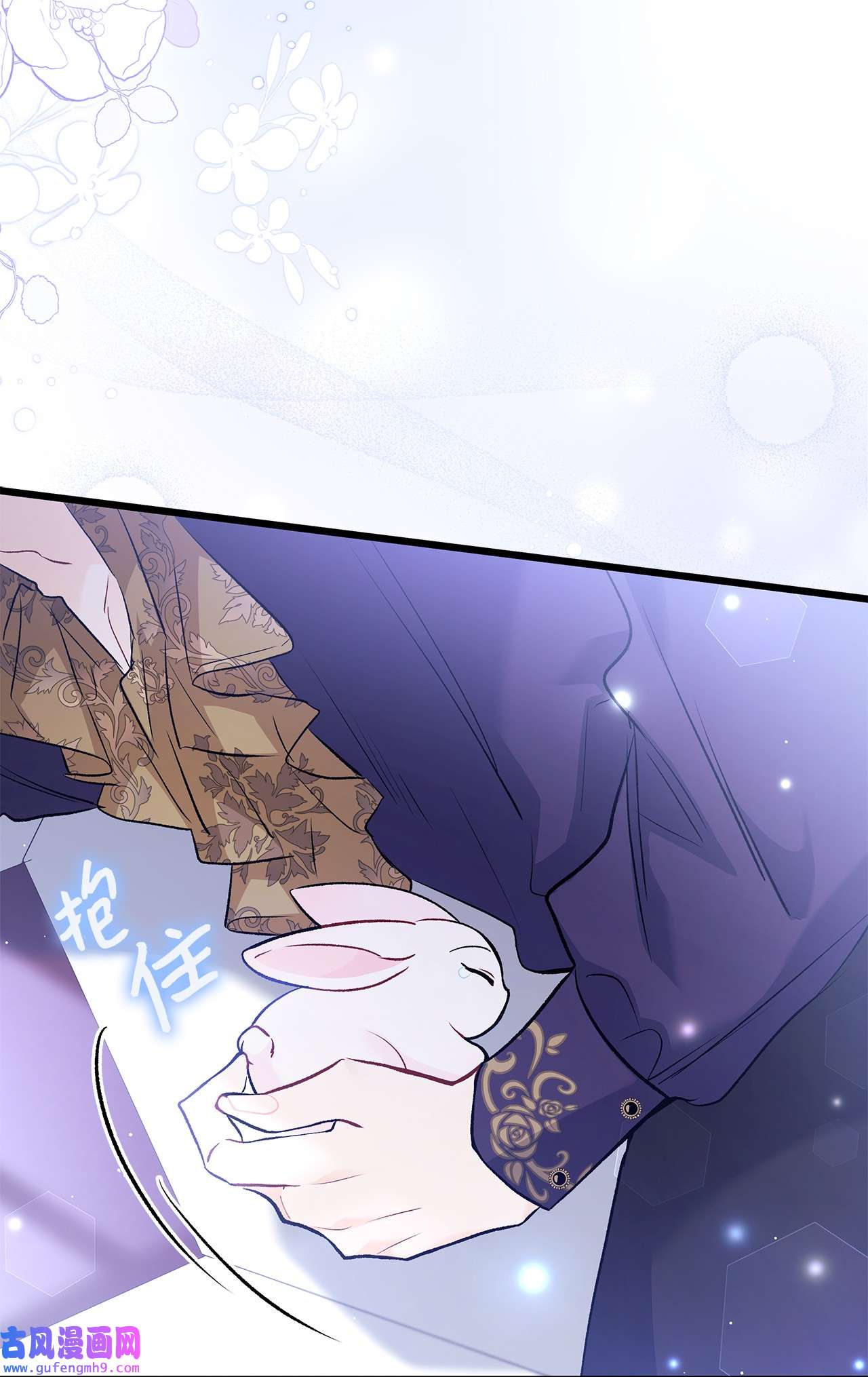 兔子与黑豹的共生关系58 可以期待吗？