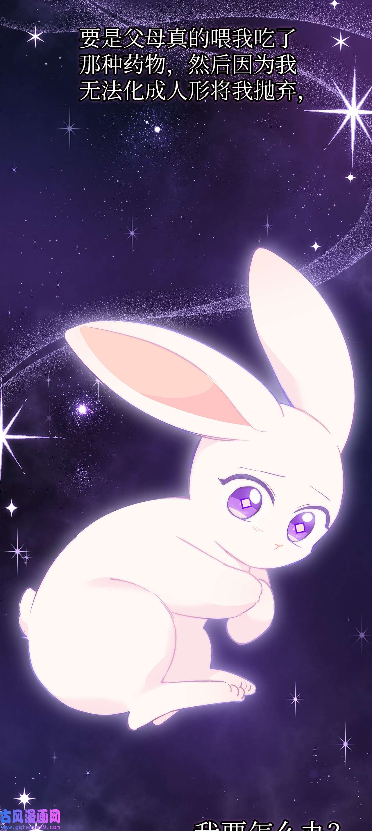 兔子与黑豹的共生关系59 我还没上车！