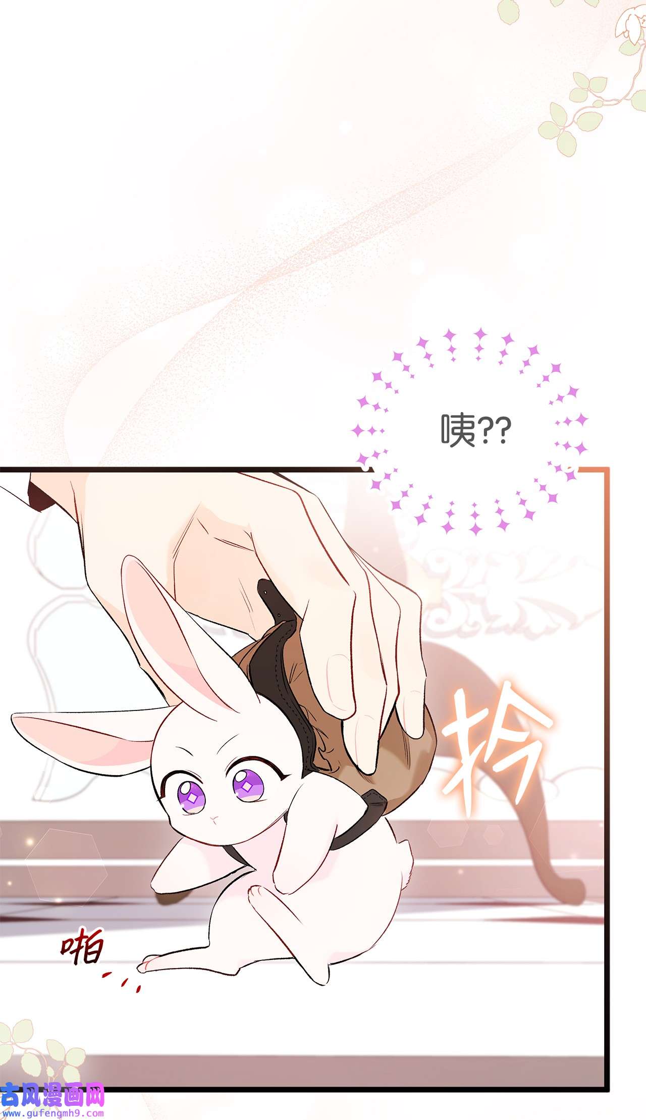 兔子与黑豹的共生关系59 我还没上车！