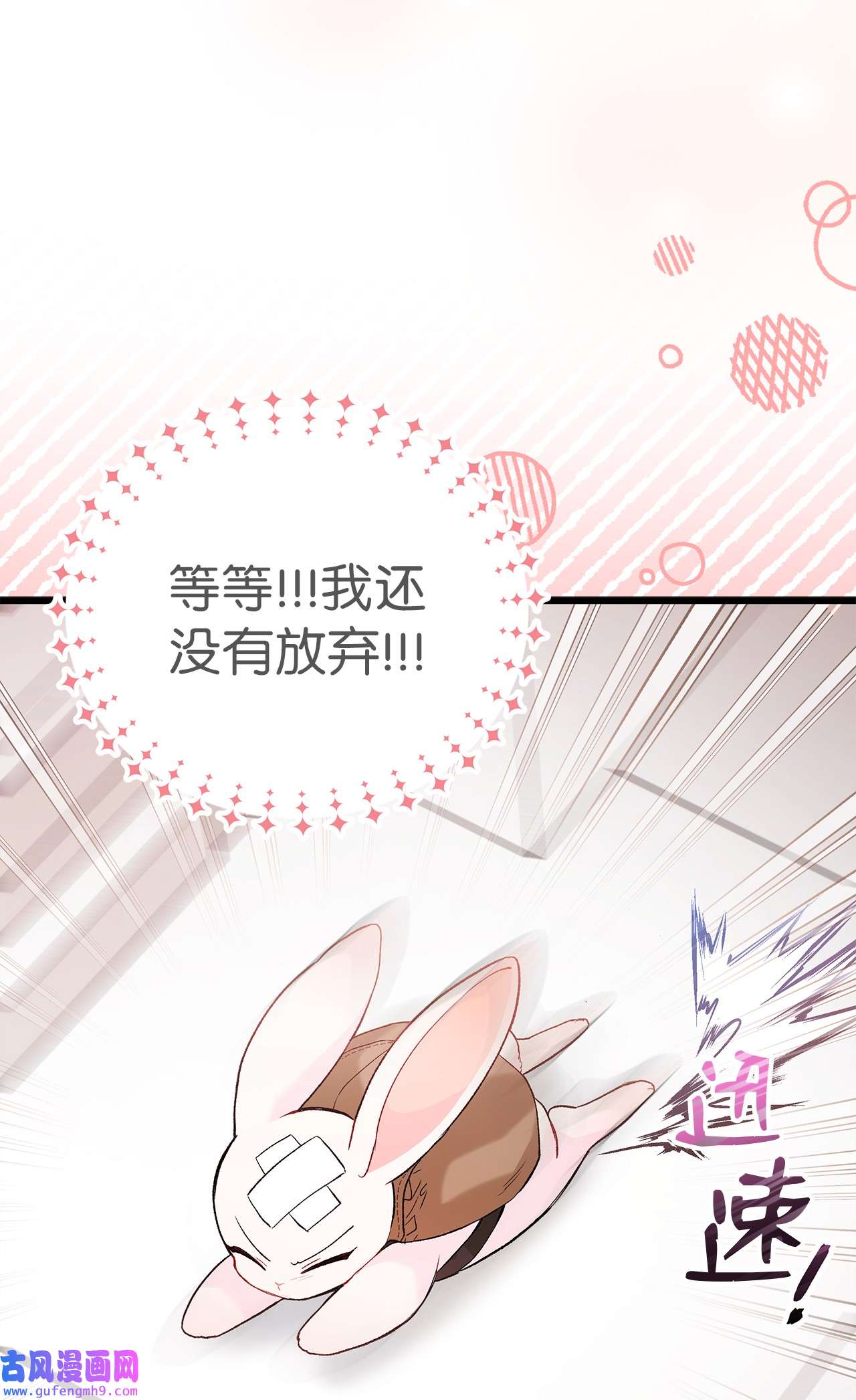 兔子与黑豹的共生关系59 我还没上车！