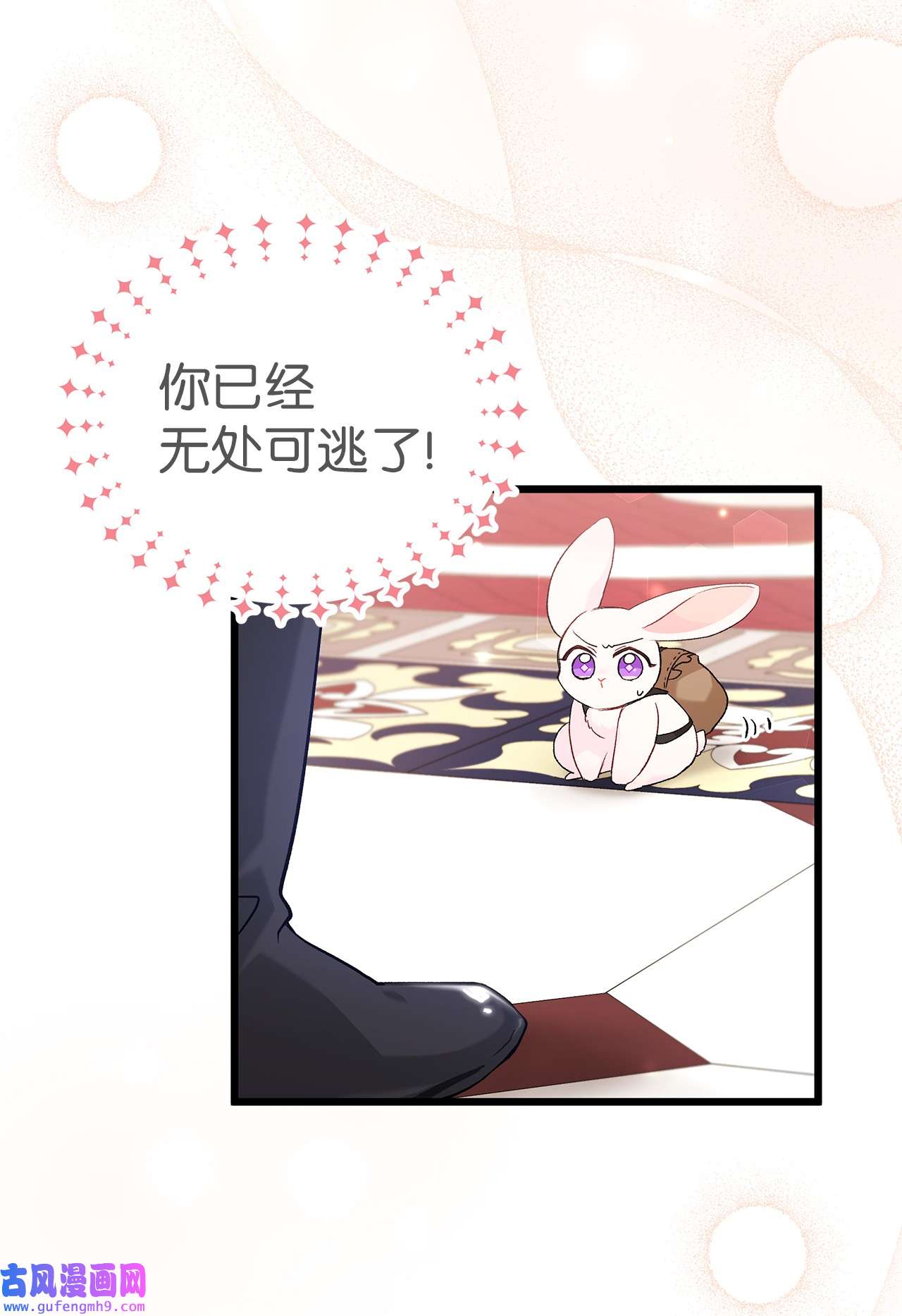 兔子与黑豹的共生关系59 我还没上车！