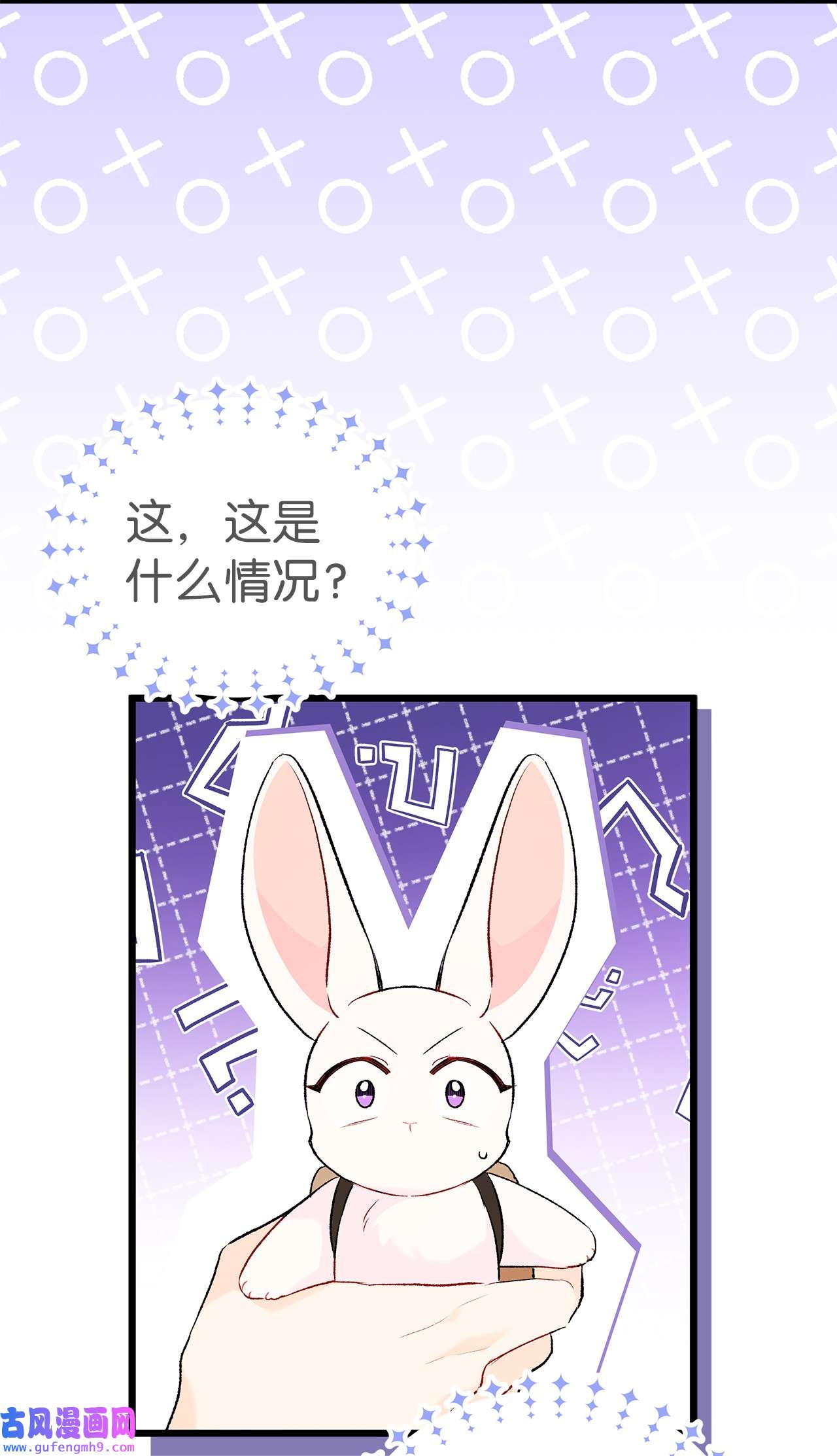 兔子与黑豹的共生关系59 我还没上车！