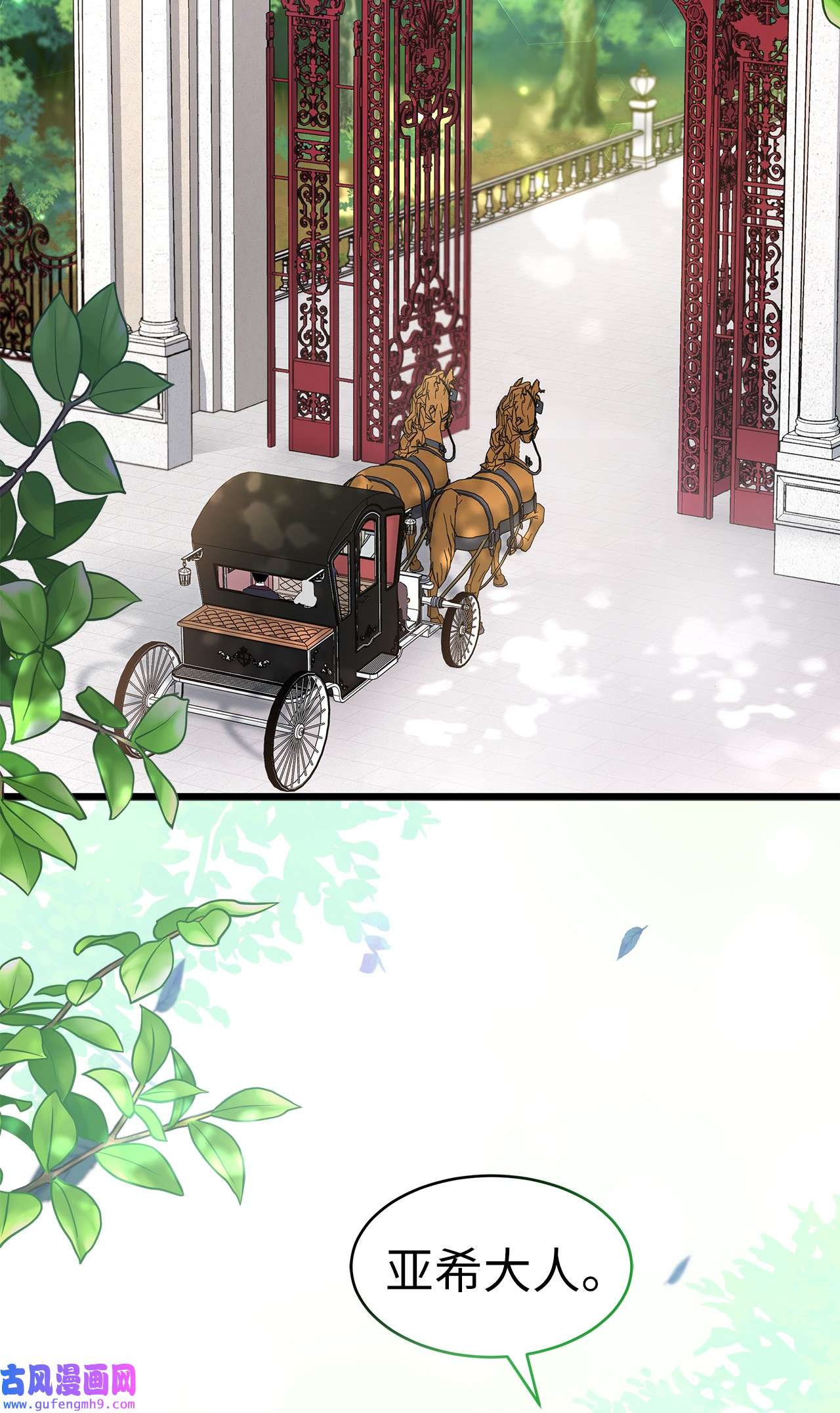 兔子与黑豹的共生关系60 黑豹需要兔兔