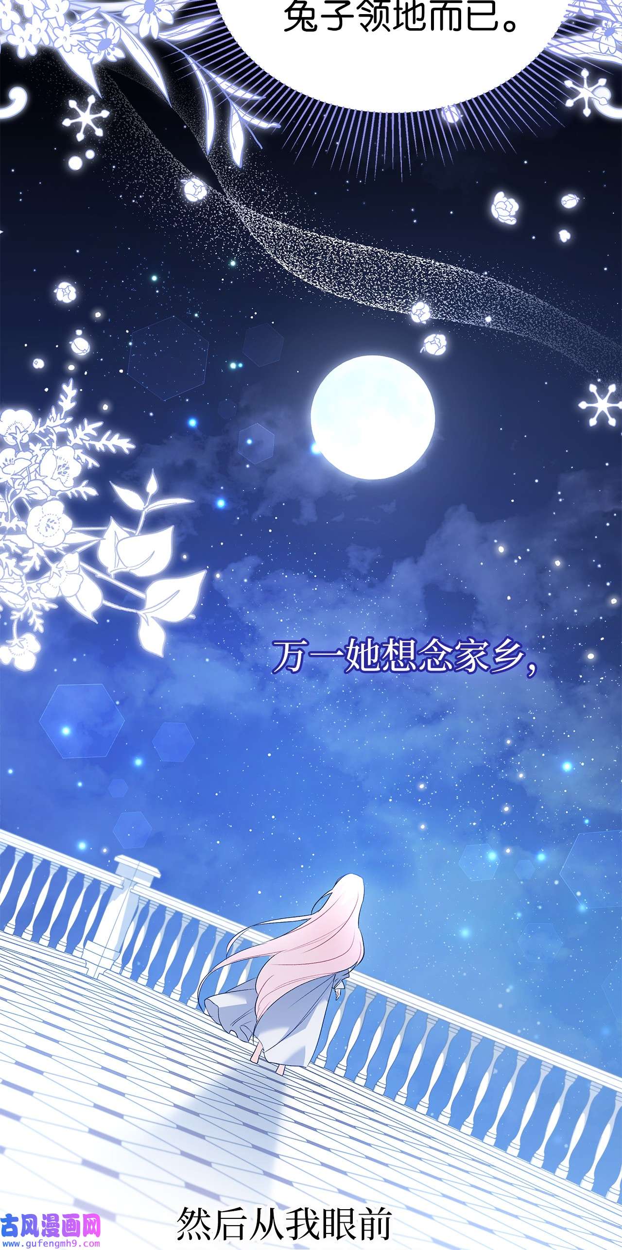 兔子与黑豹的共生关系60 黑豹需要兔兔