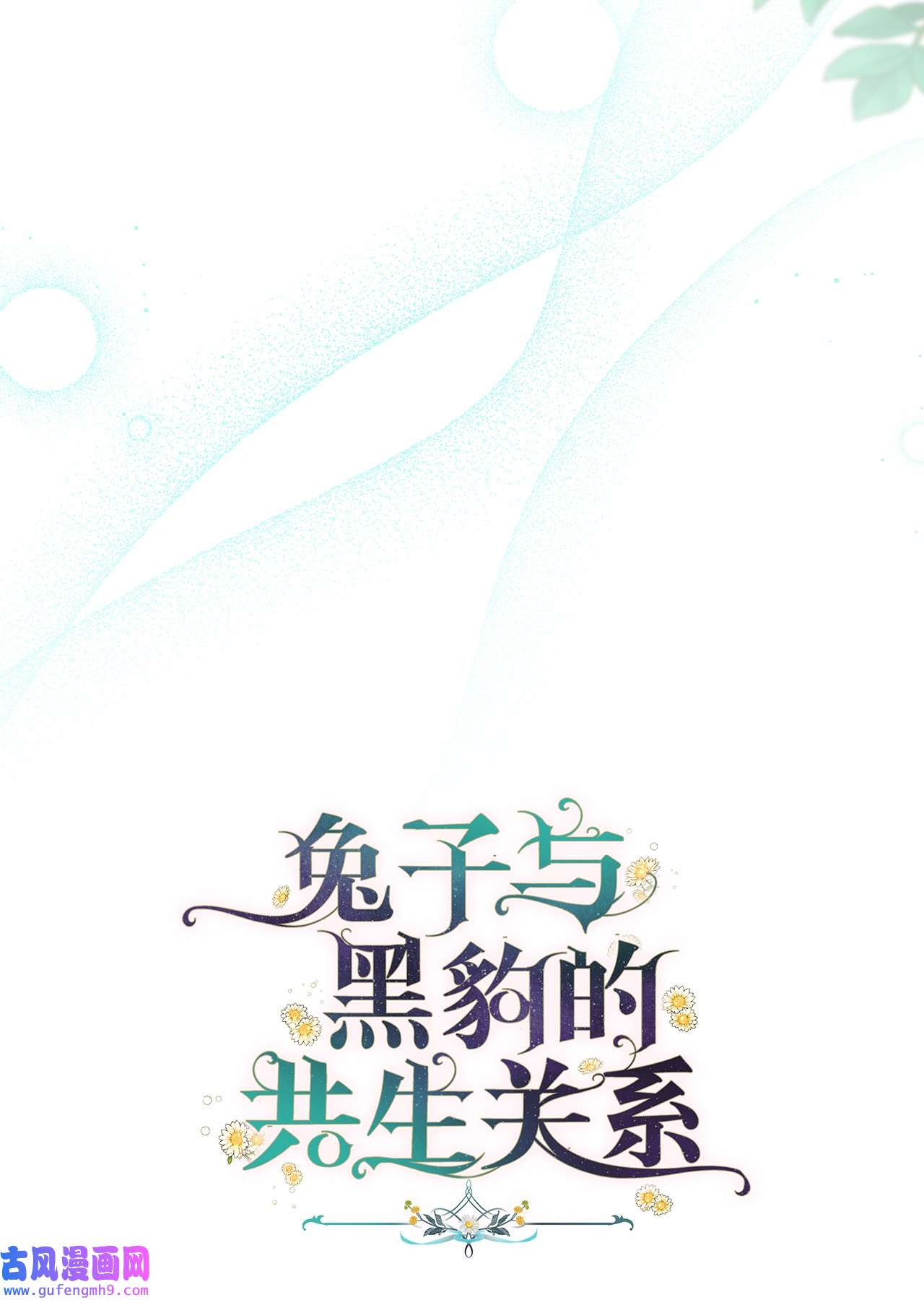 兔子与黑豹的共生关系60 黑豹需要兔兔