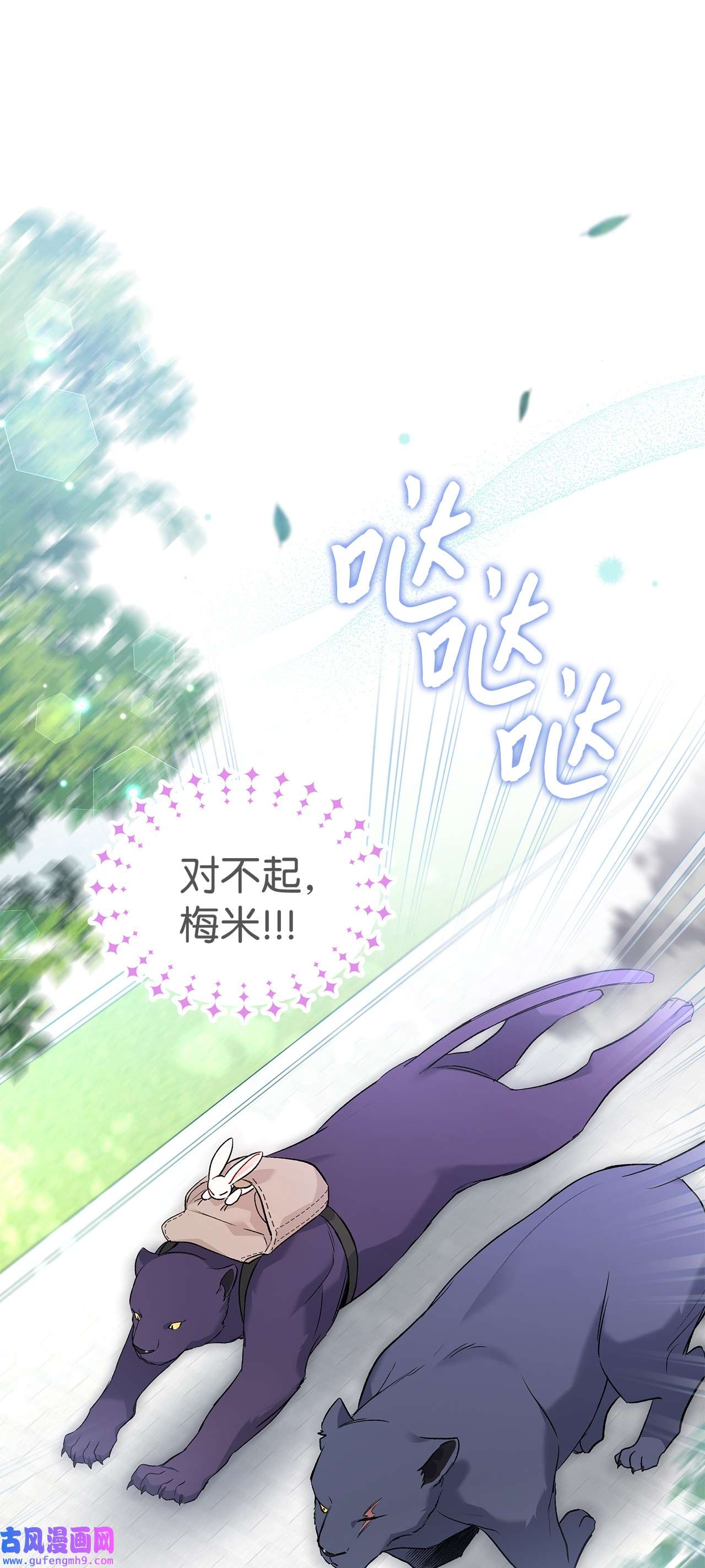 兔子与黑豹的共生关系60 黑豹需要兔兔