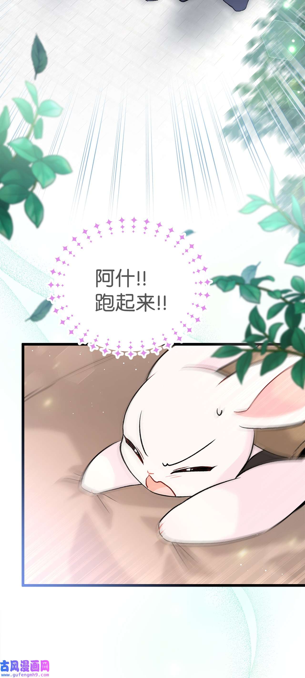 兔子与黑豹的共生关系60 黑豹需要兔兔