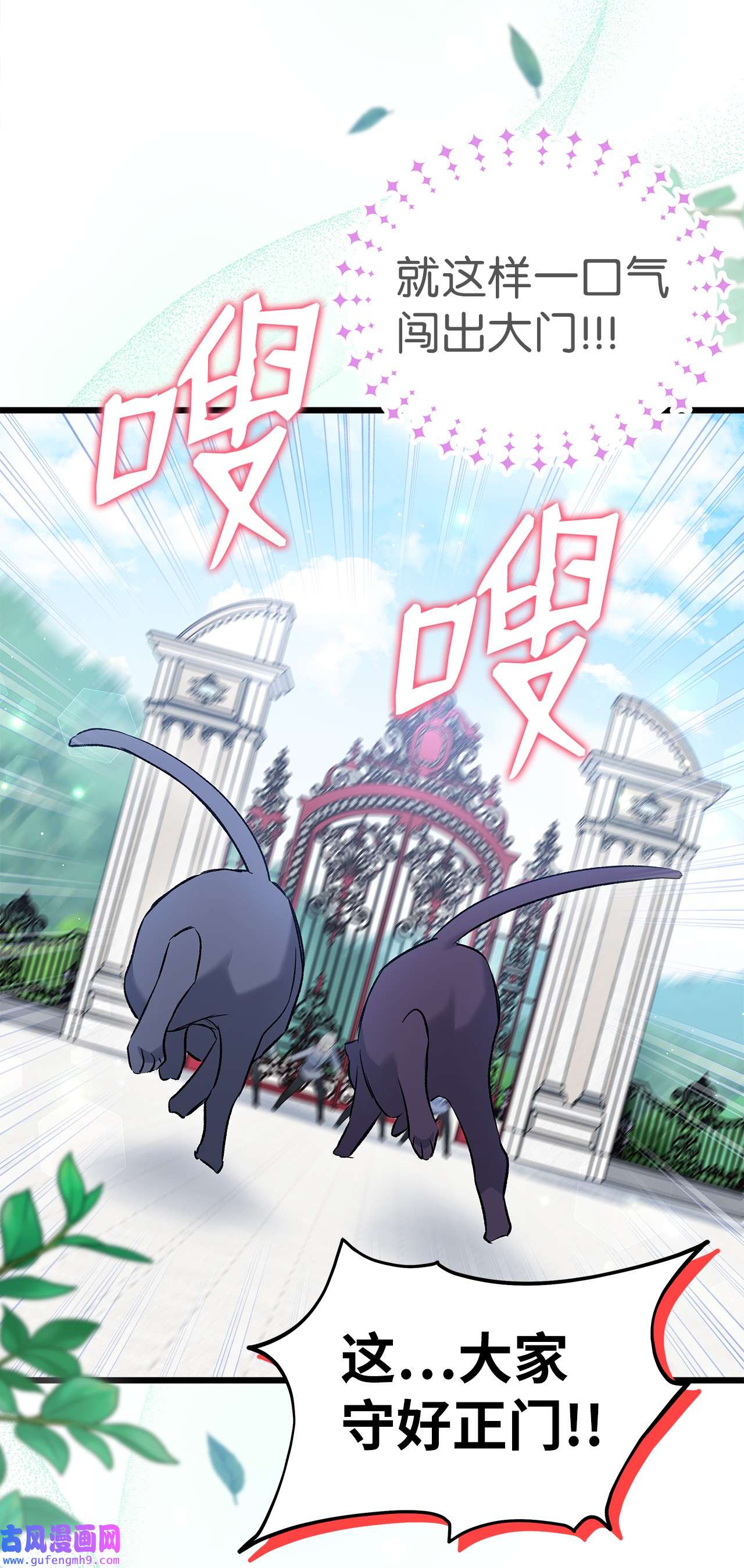 兔子与黑豹的共生关系60 黑豹需要兔兔