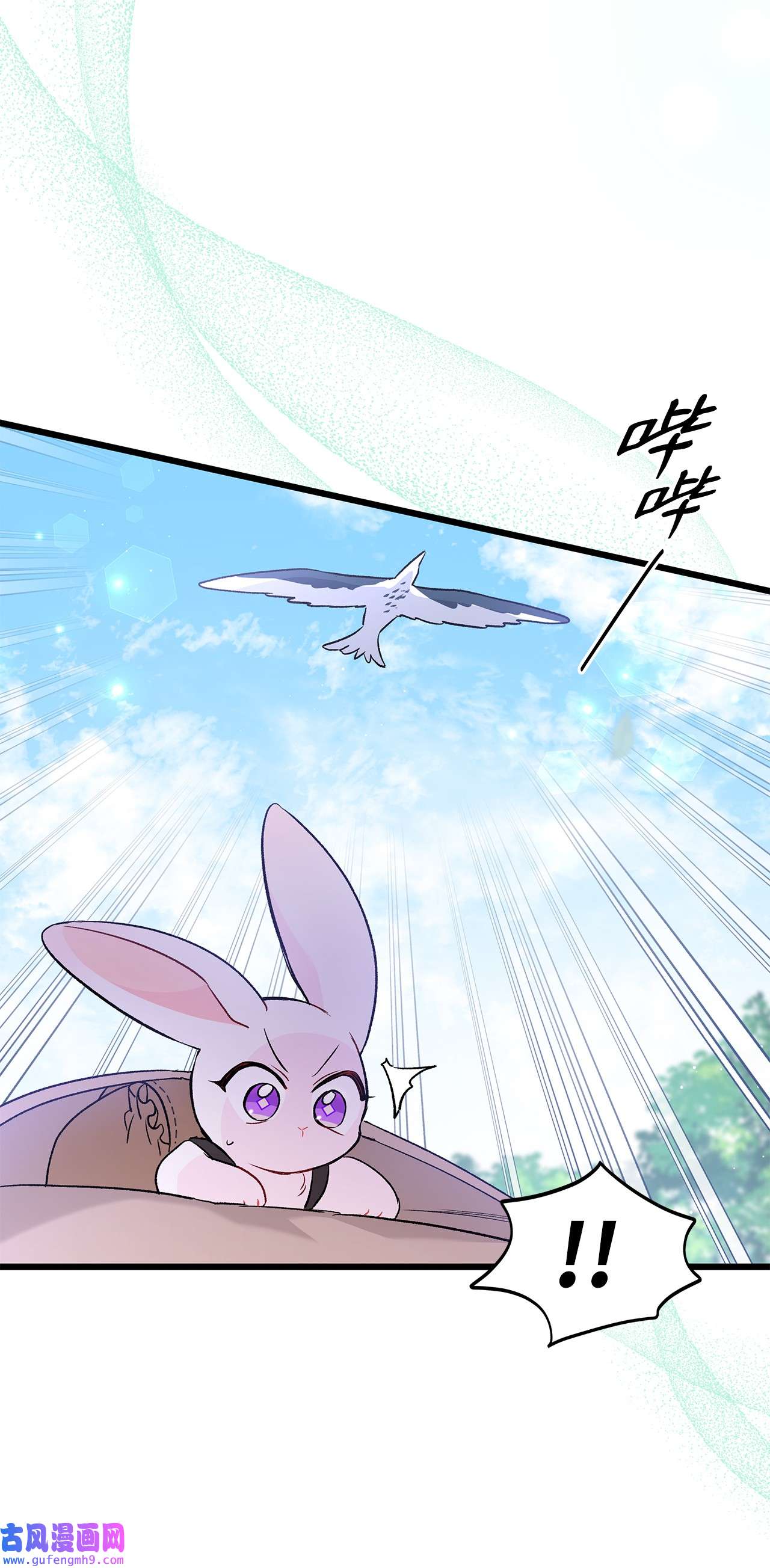 兔子与黑豹的共生关系60 黑豹需要兔兔