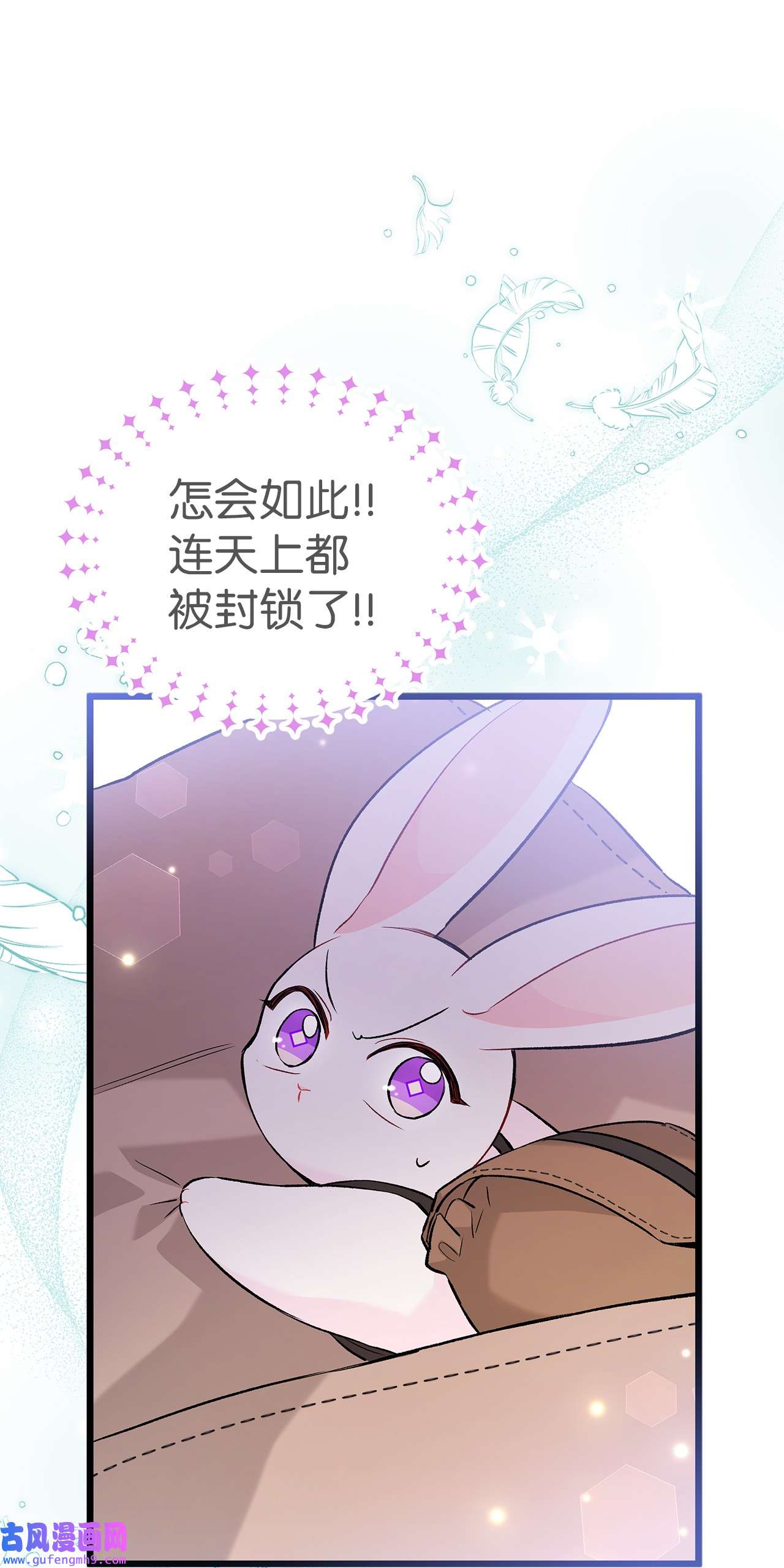 兔子与黑豹的共生关系60 黑豹需要兔兔