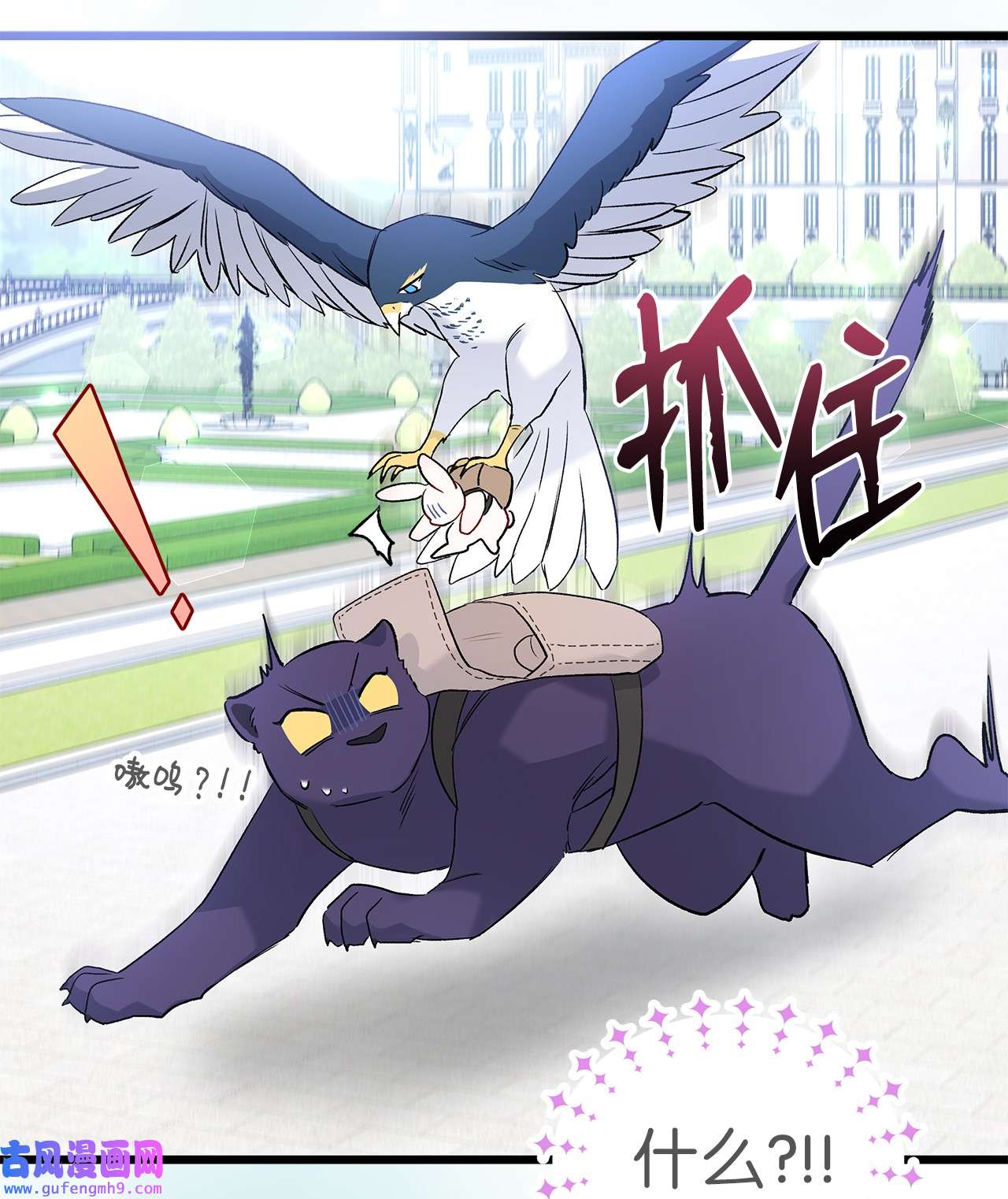 兔子与黑豹的共生关系60 黑豹需要兔兔