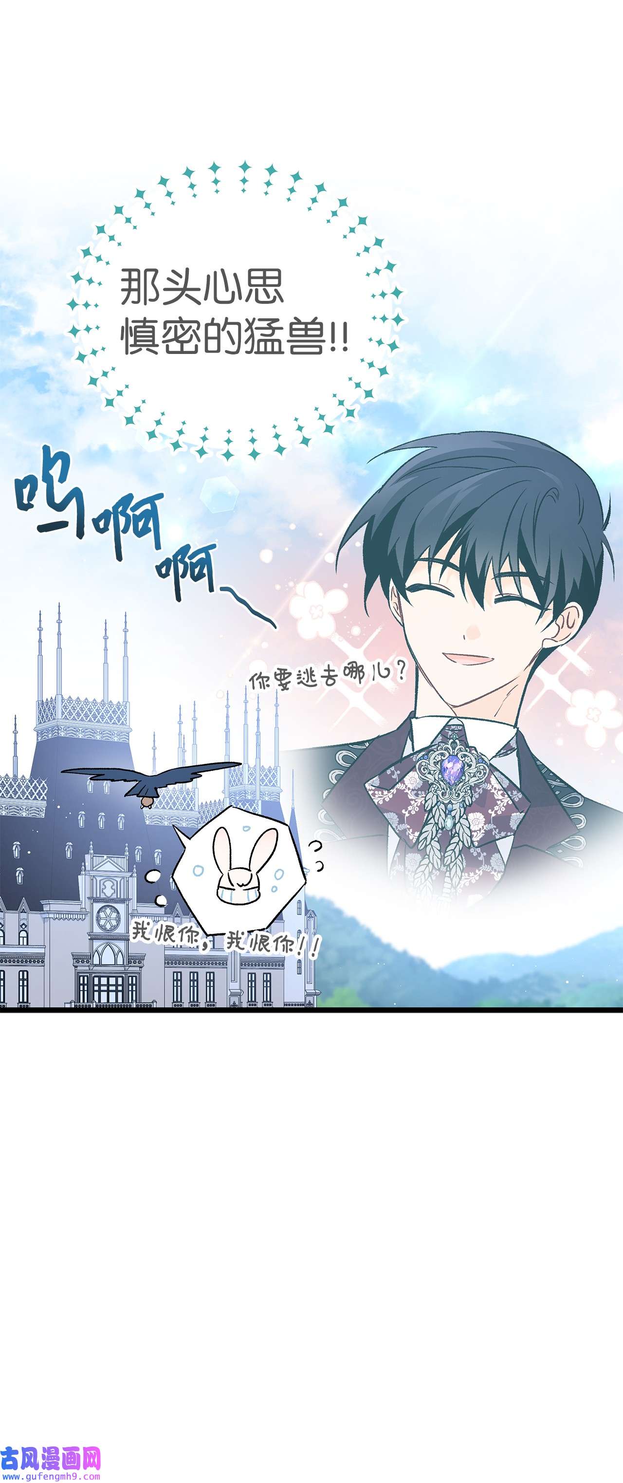 兔子与黑豹的共生关系60 黑豹需要兔兔